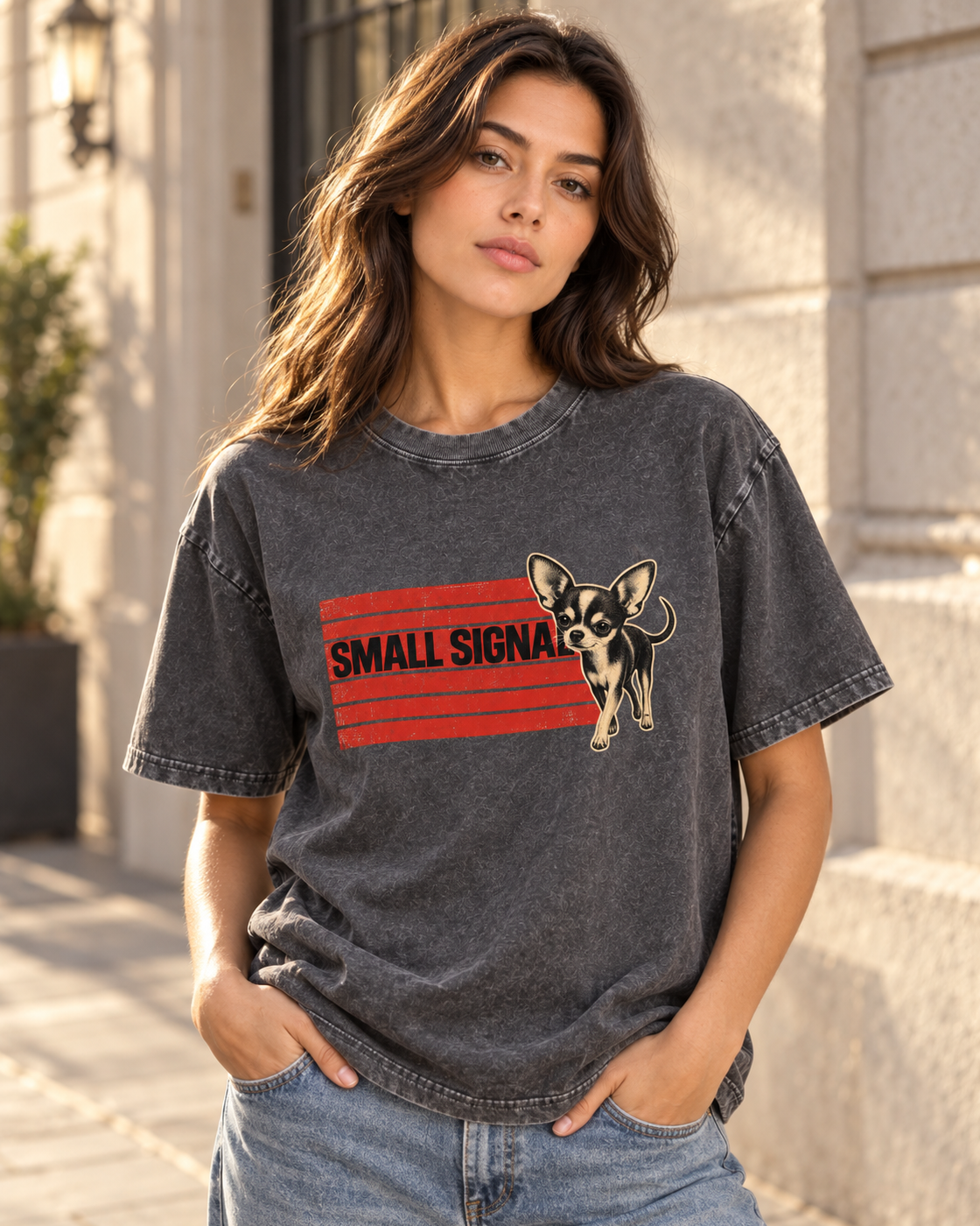 Adult model wears Gray Chihuahua Small Signal washed T-shirt in a three-quarter street portrait