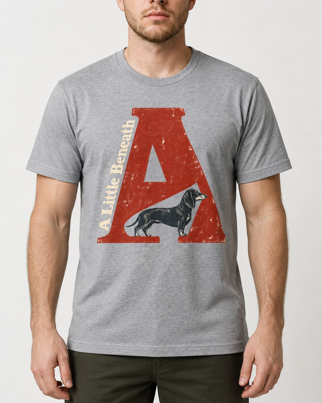 Dachshund A Little Beneath Monumental Letter Graphic T-Shirt in Sport Grey, worn by a model, front view