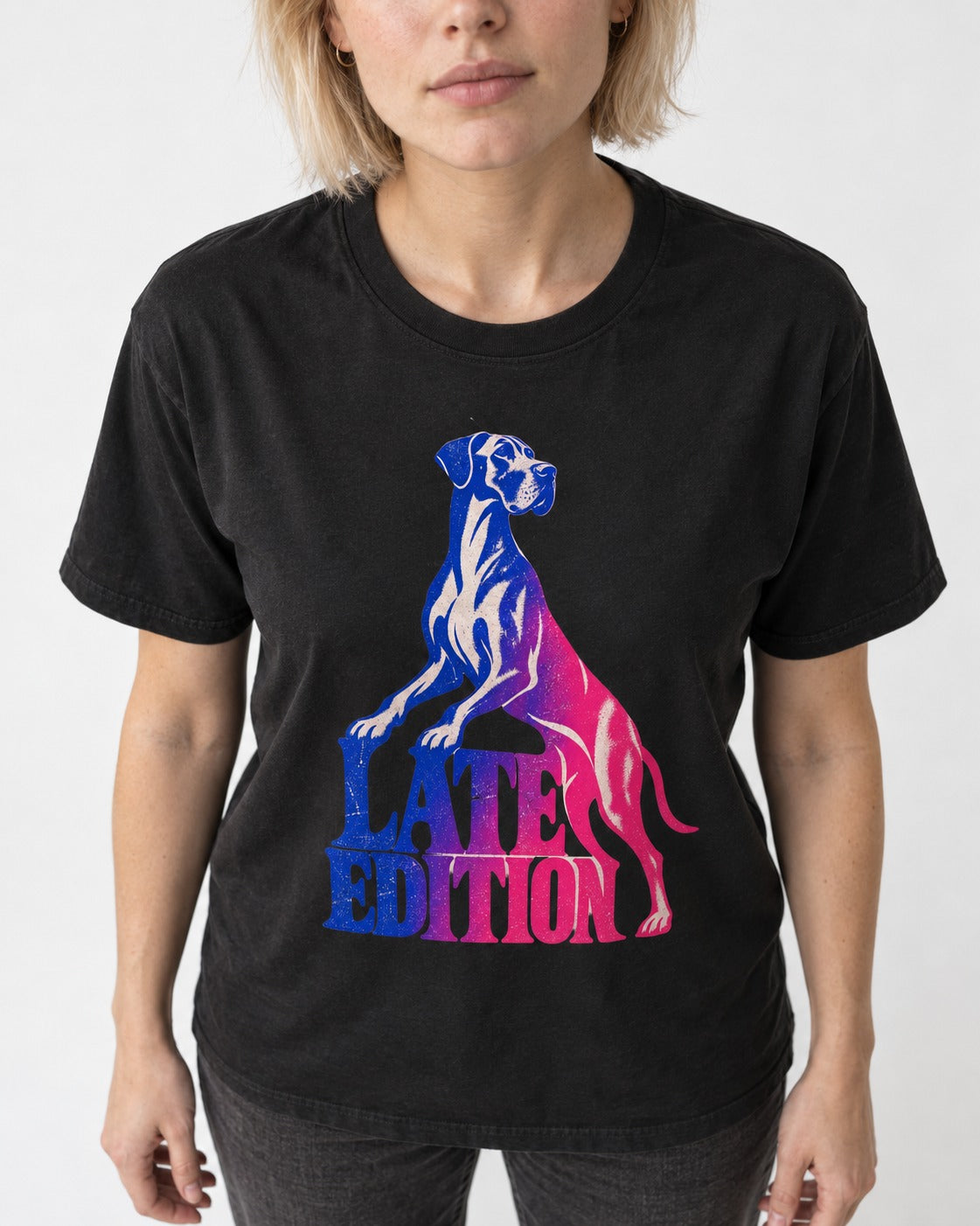 Great Dane Latest Edition Gradient Graphic T-Shirt in Black, worn by a model, front view