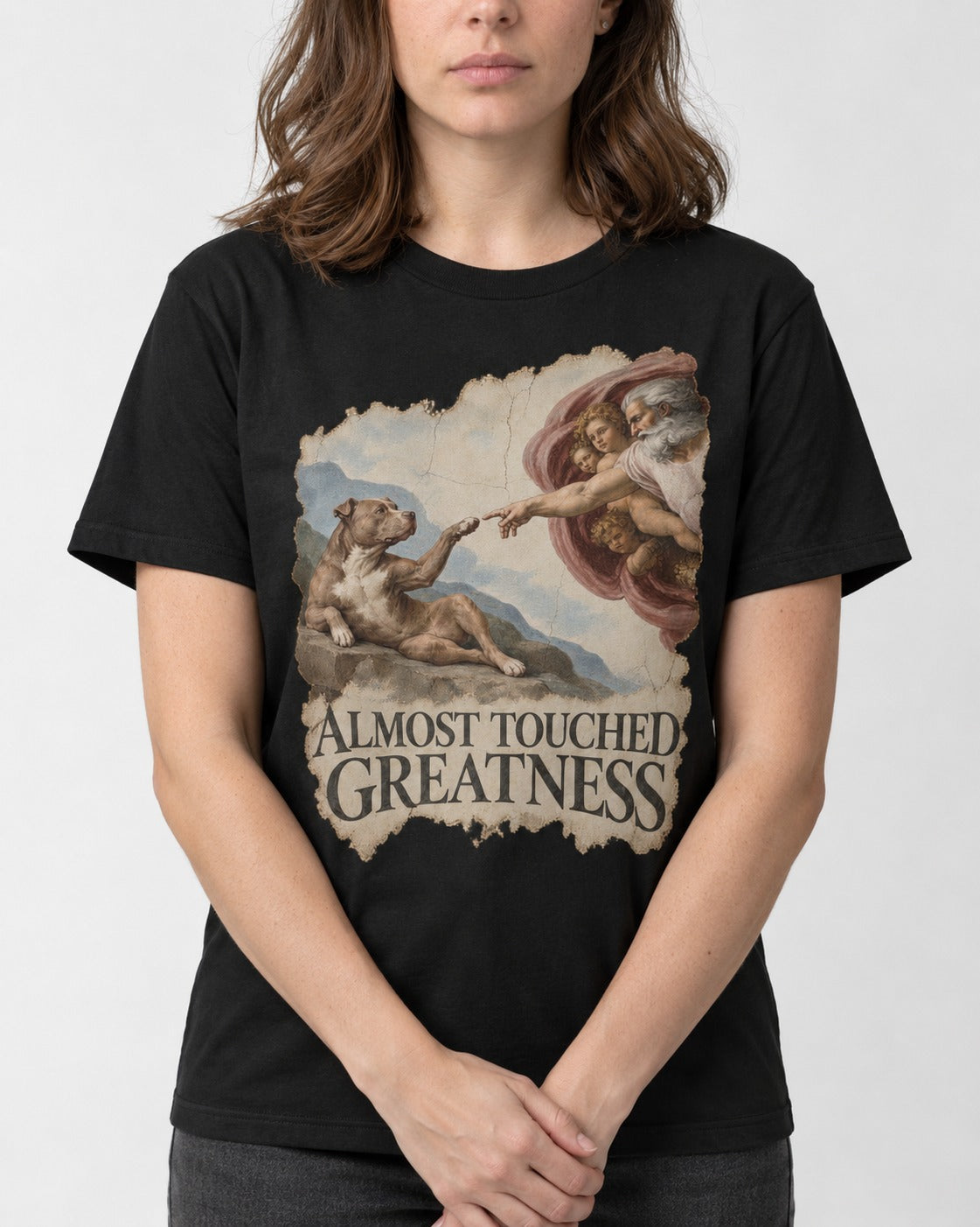 Pitbull Almost Touched Greatness Creation Parody Graphic T-Shirt in Black, worn by a model, front view