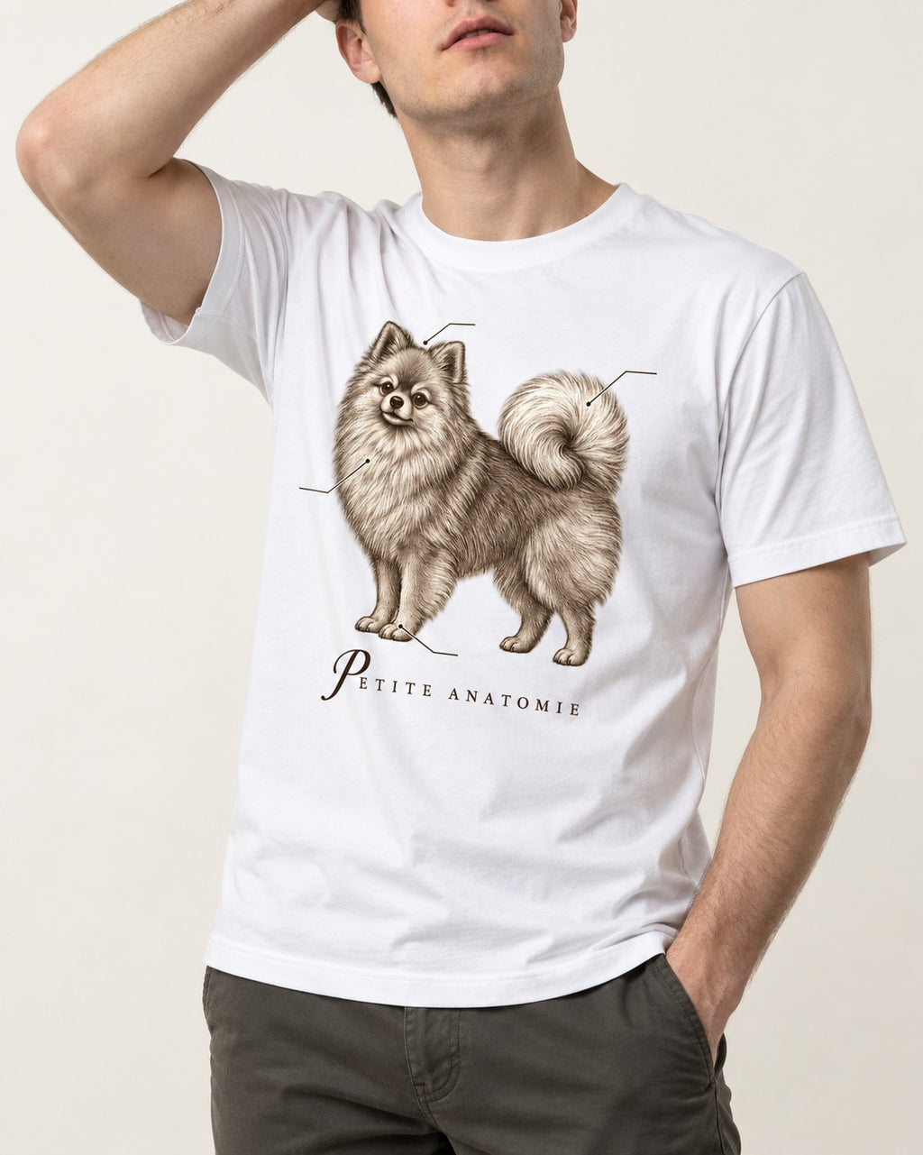 Pomeranian Petite Anatomie T-Shirt in White, worn by a model, front view