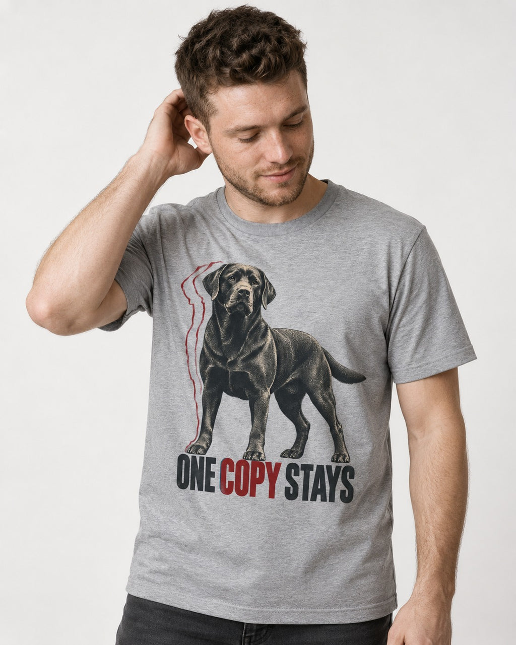 One Copy Stays Labrador Retriever T-Shirt in Sport Grey, worn by a model