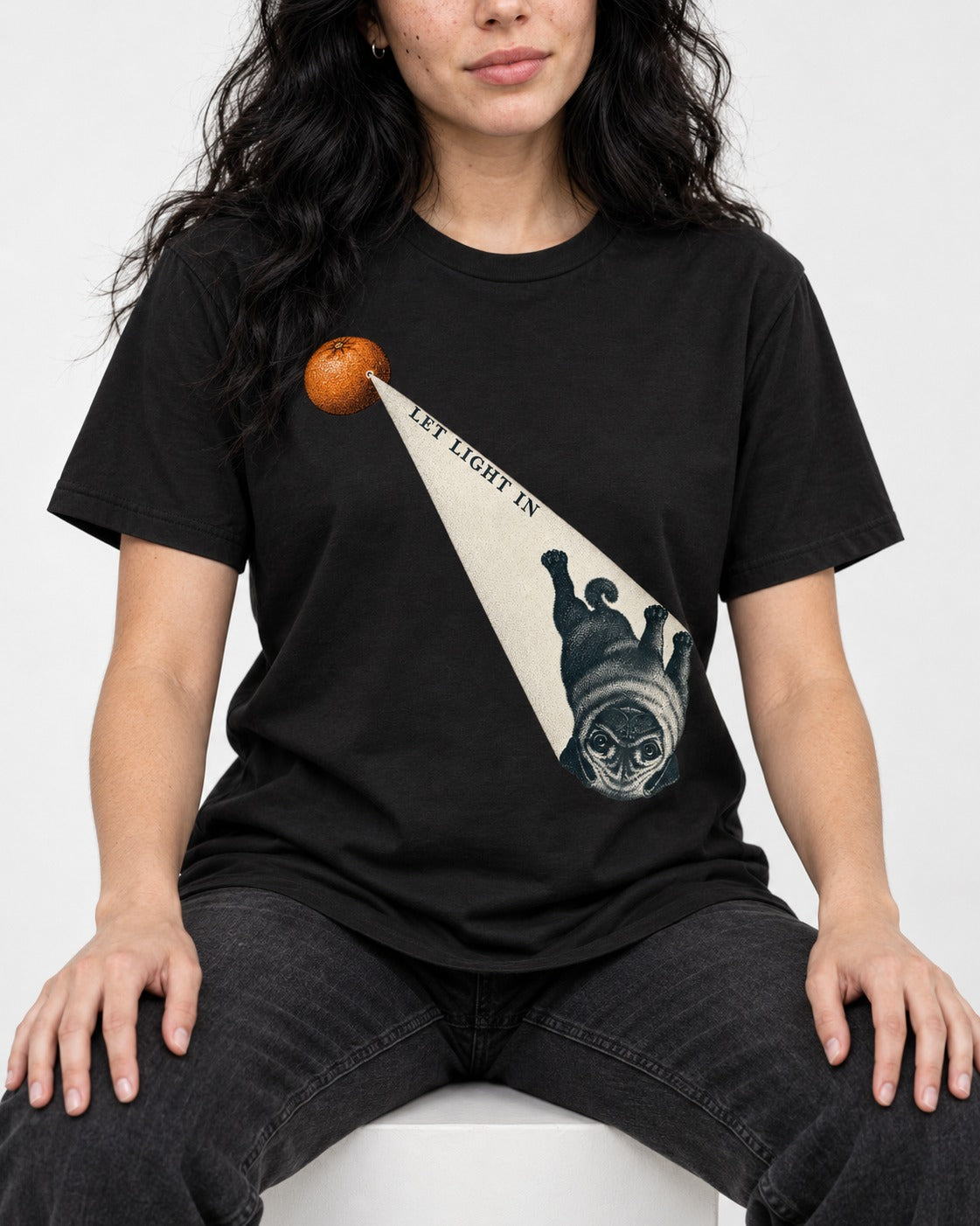 Pug Let Light In Camera Obscura Graphic T-Shirt in Black, worn by a seated model