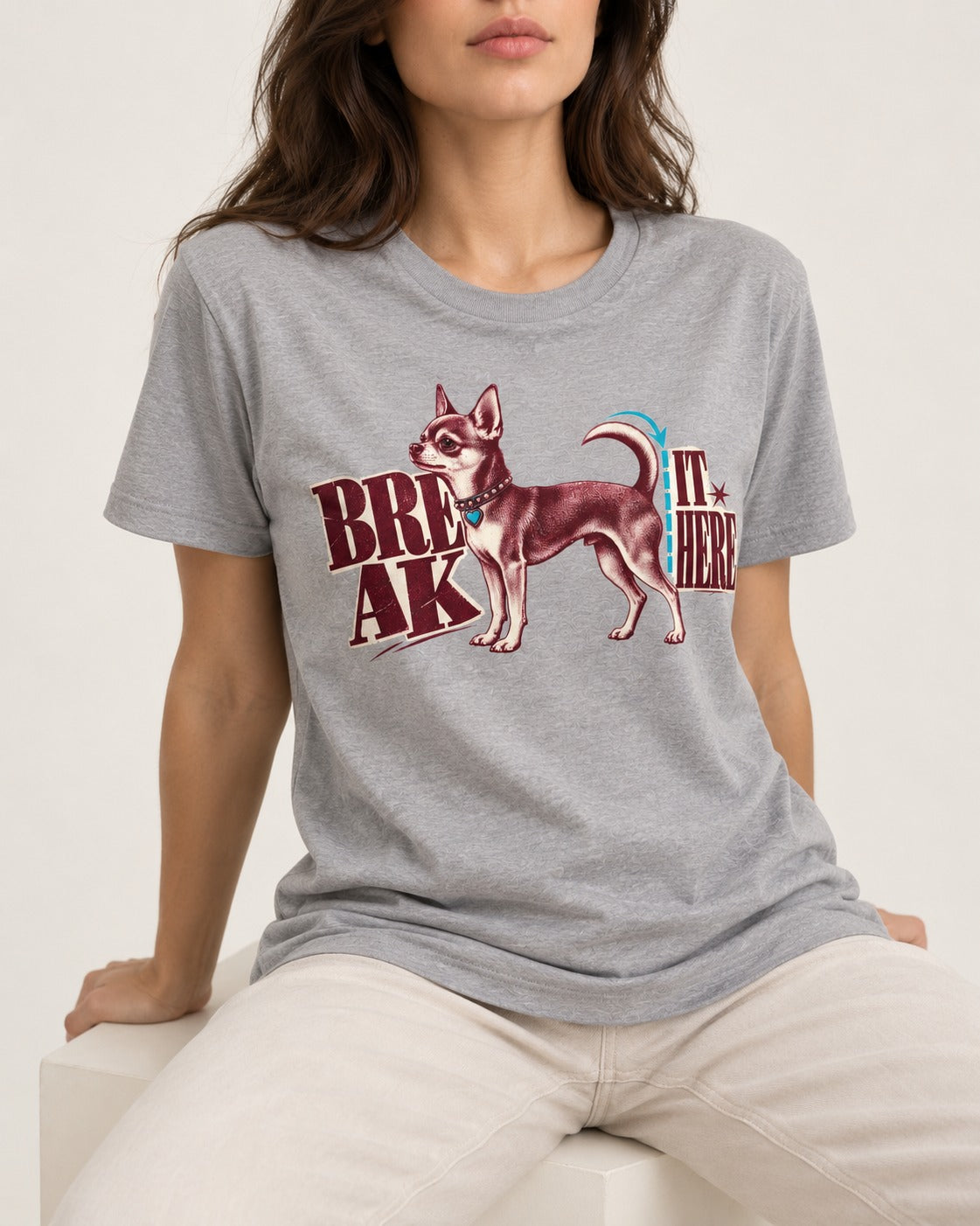 Chihuahua Break It Here Perforation Graphic T-Shirt in Sport Grey, worn by a seated model