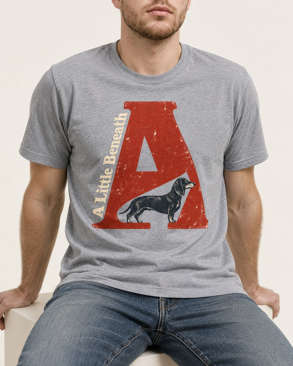Dachshund A Little Beneath Monumental Letter Graphic T-Shirt in Sport Grey, worn by a seated model