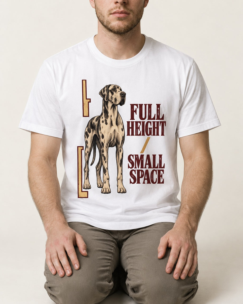 Great Dane Full Height Small Space T-Shirt in White, worn by a seated model