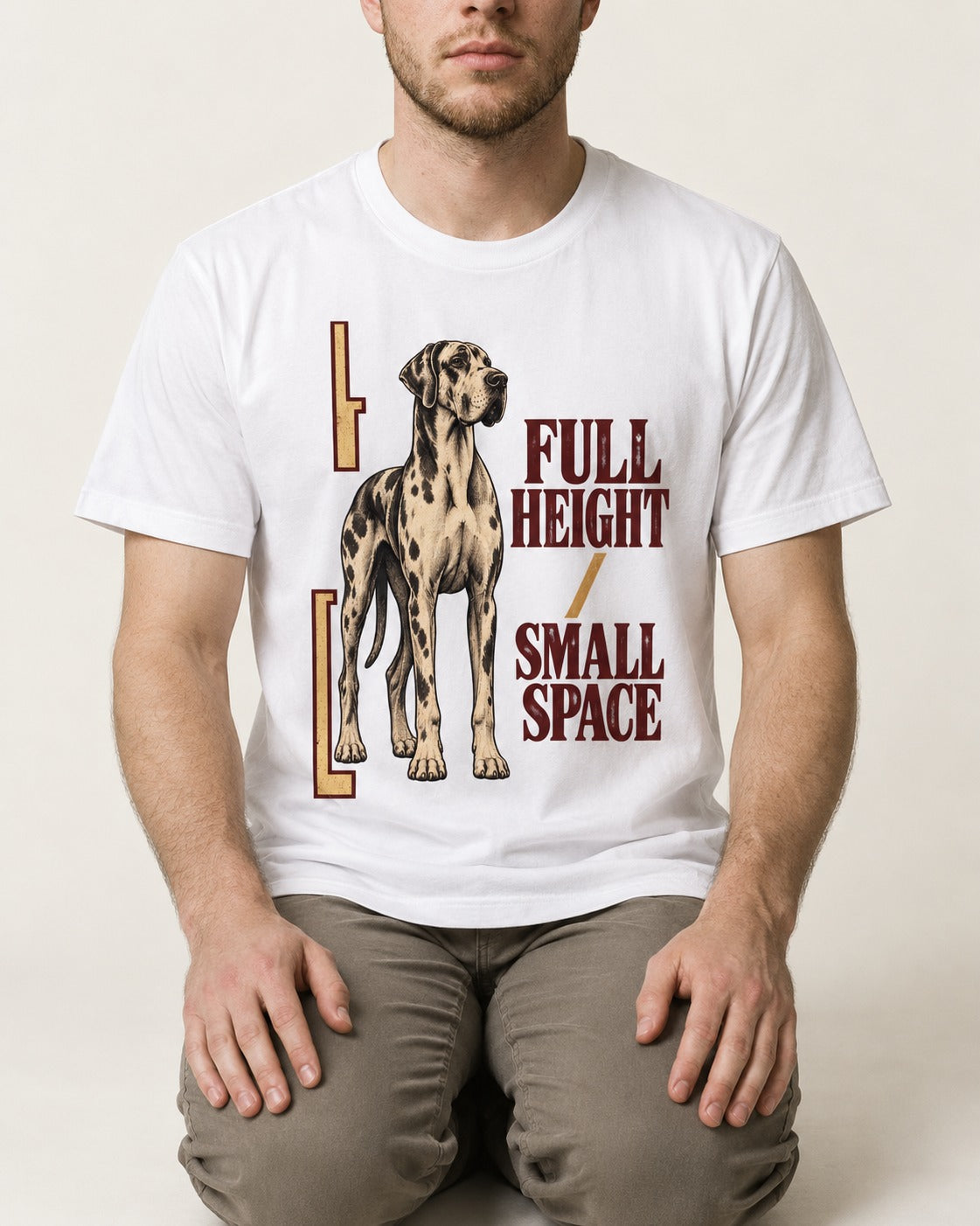 Great Dane Full Height Small Space T-Shirt in White, worn by a seated model