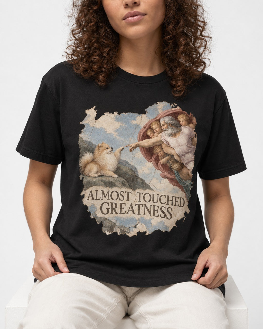 Pomeranian Almost Touched Greatness Fresco Graphic T-Shirt in Black, worn by a seated model