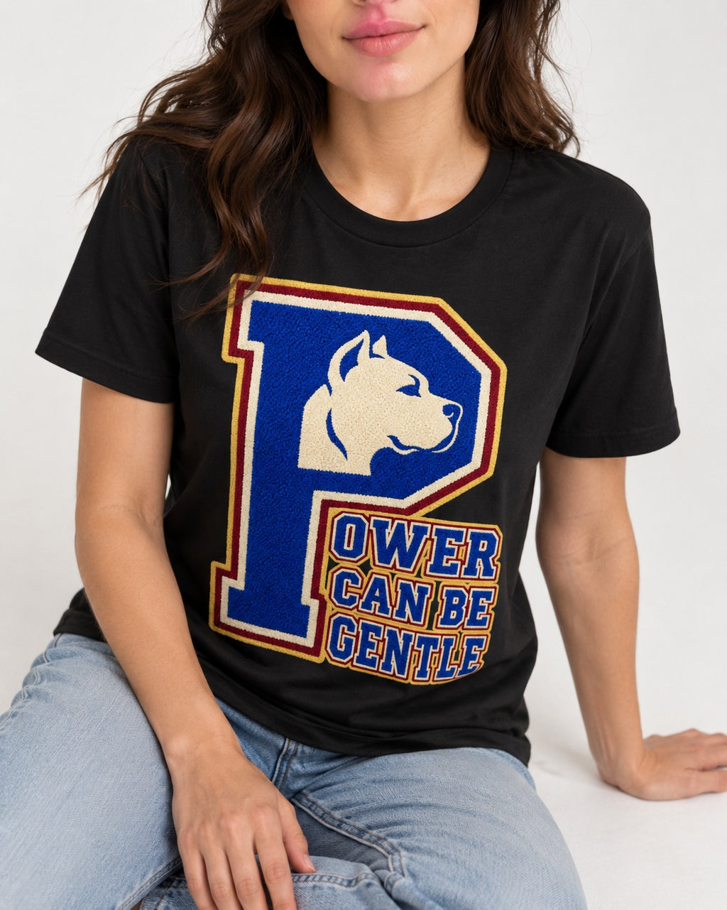 Pitbull Power Can Be Gentle Varsity Graphic T-Shirt in Black, worn by a seated model
