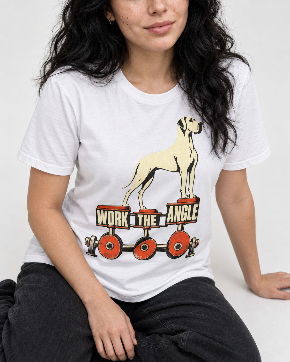 Great Dane Work the Angle T-Shirt in White, worn by a seated model