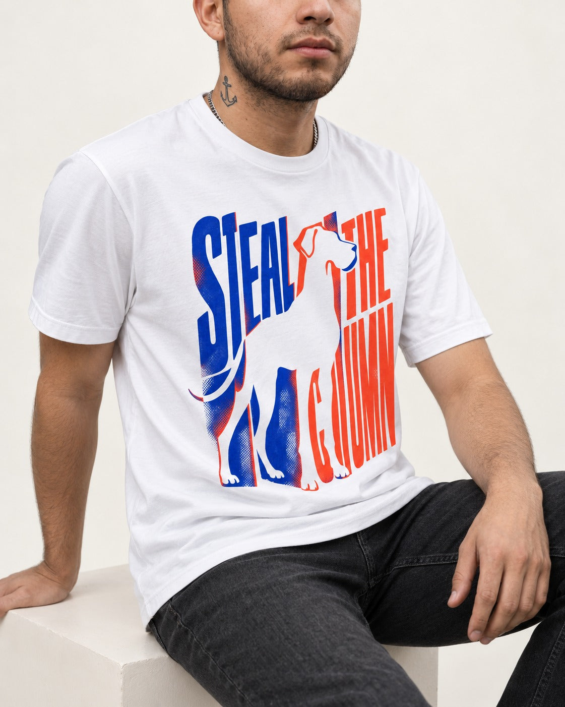 Steal the Show Great Dane T-Shirt in White, worn by a seated model