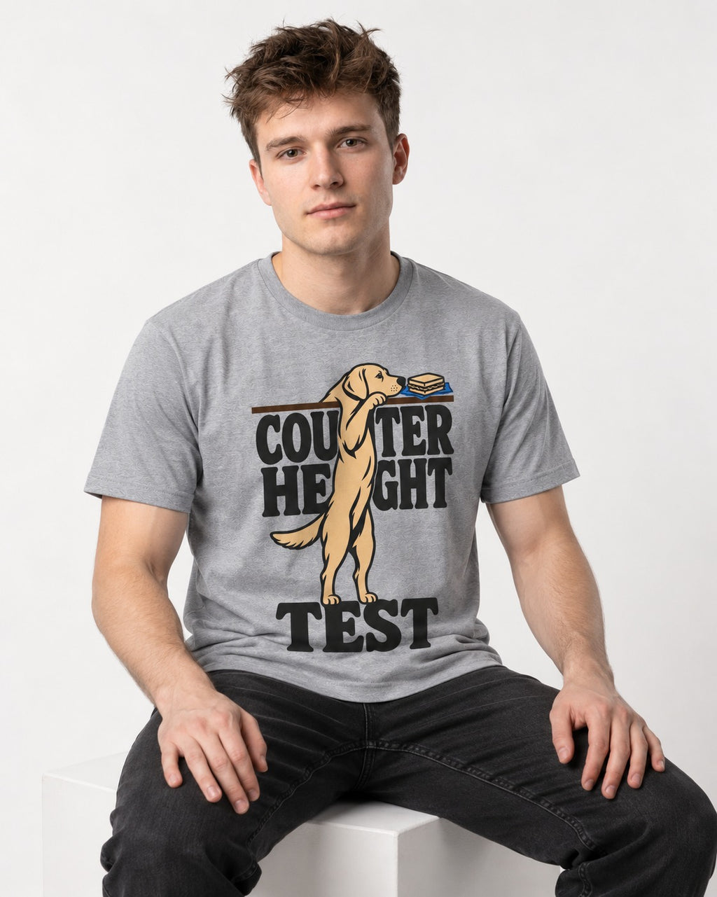 Labrador Retriever Counter Height Test T-Shirt in Sport Grey, worn by a seated model