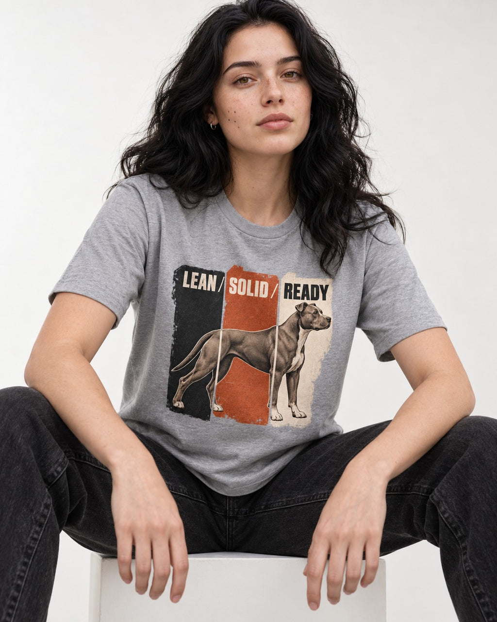 Pitbull Lean Solid Ready Triptych Graphic T-Shirt in Sport Grey, worn by a seated model