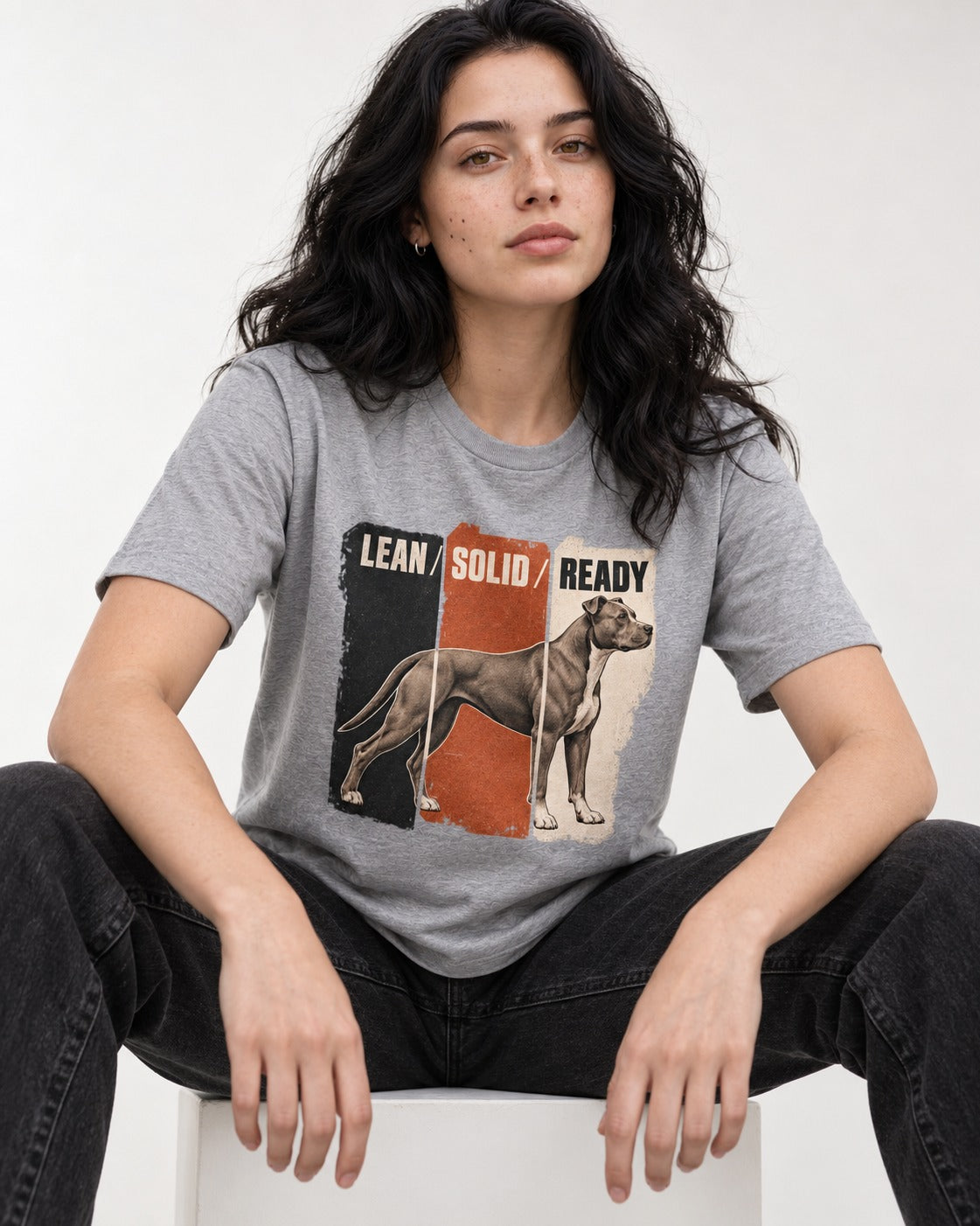 Pitbull Lean Solid Ready Triptych Graphic T-Shirt in Sport Grey, worn by a seated model