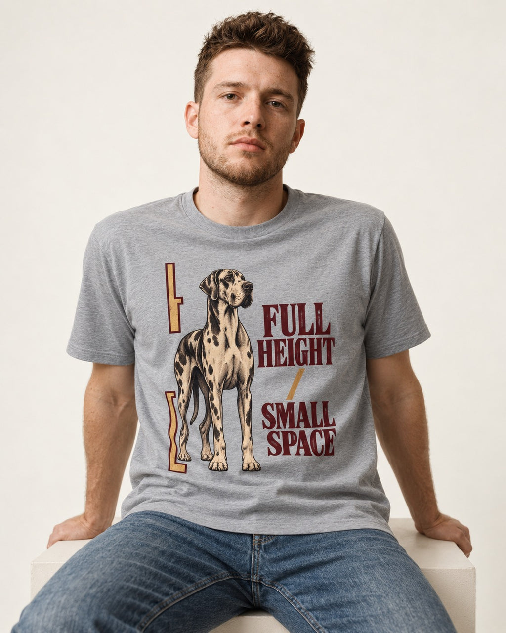 Great Dane Full Height Small Space T-Shirt in Sport Grey, worn by a seated model