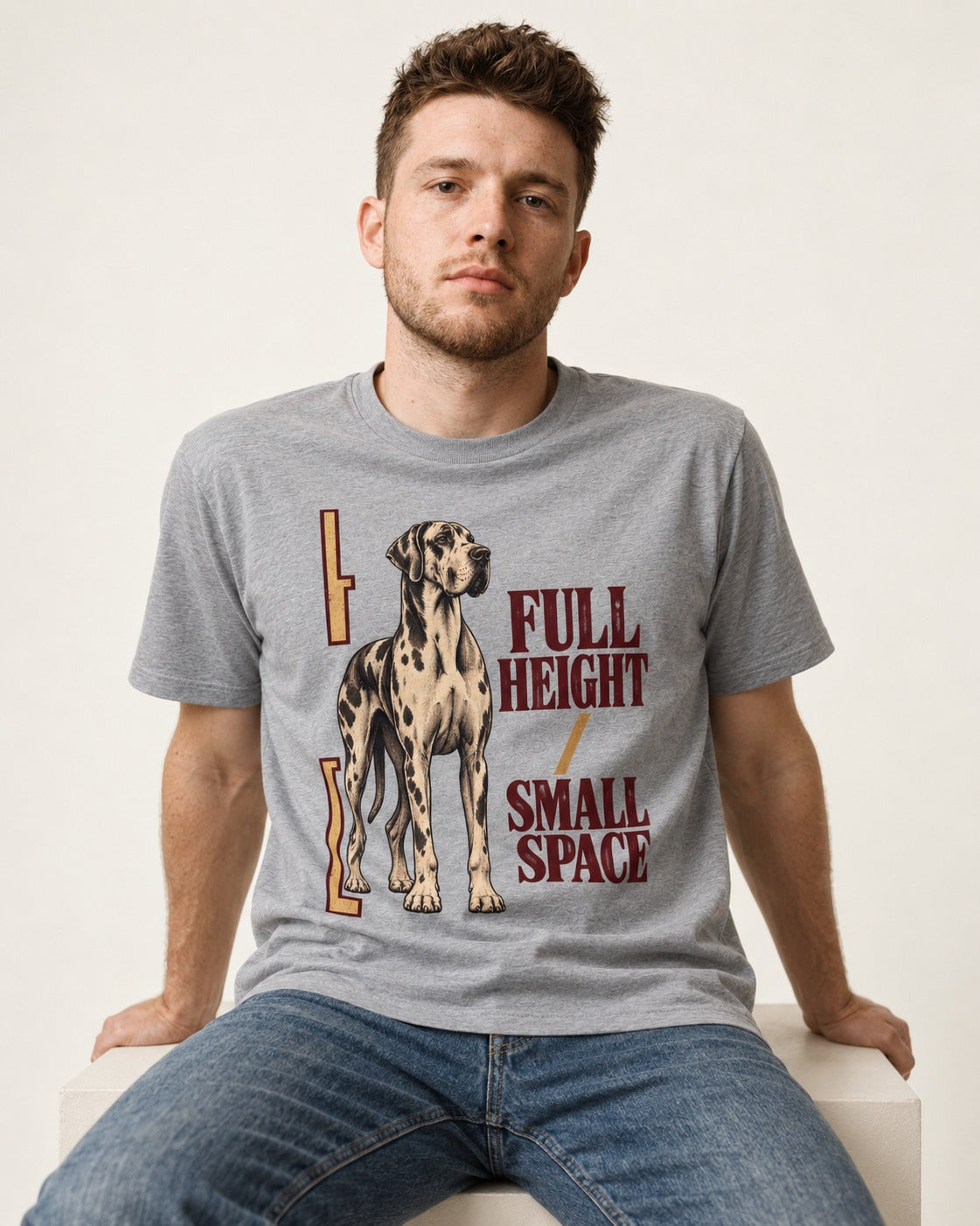 Great Dane Full Height Small Space T-Shirt in Sport Grey, worn by a seated model