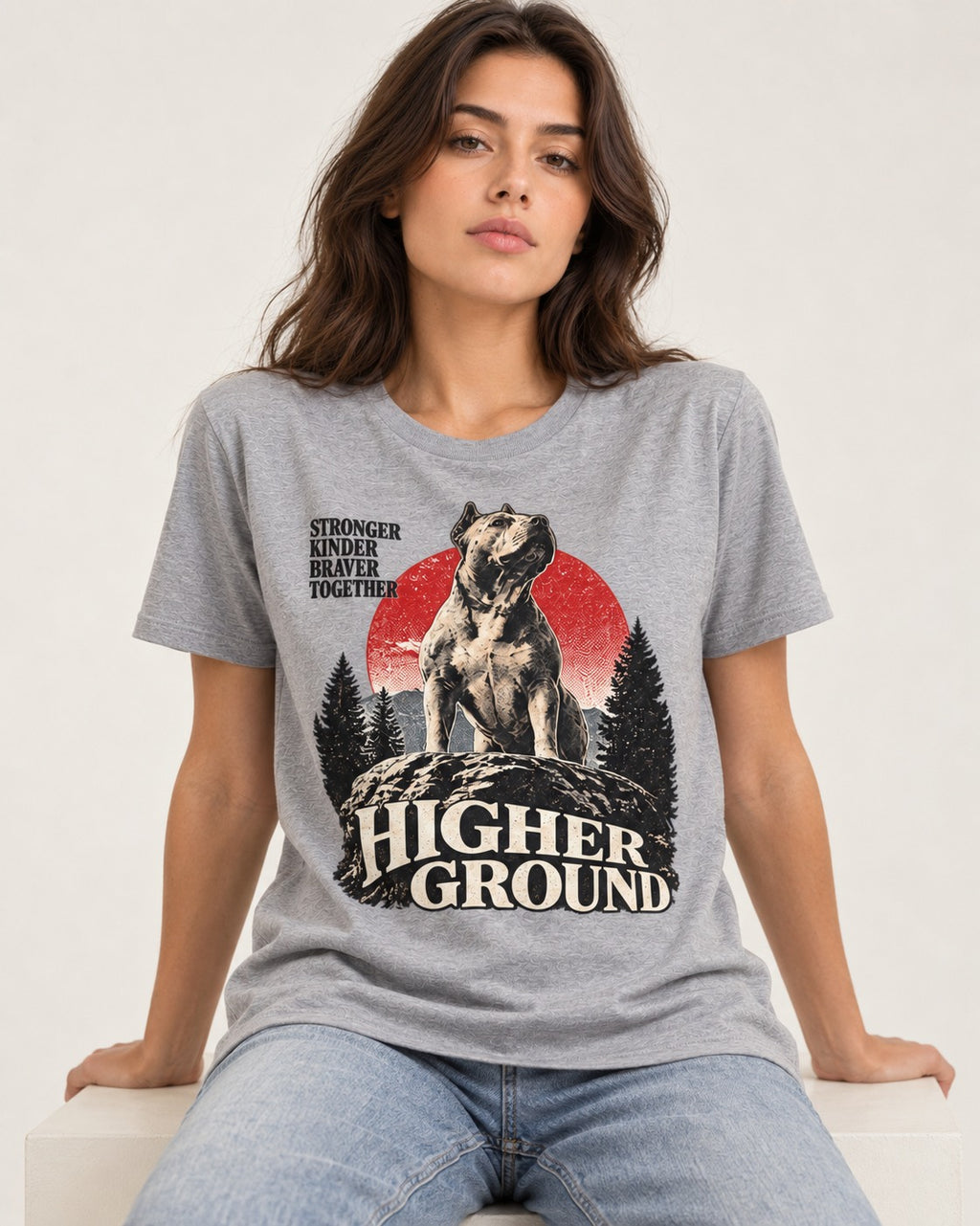 Pitbull Higher Ground T-Shirt in Sport Grey, worn by a seated model