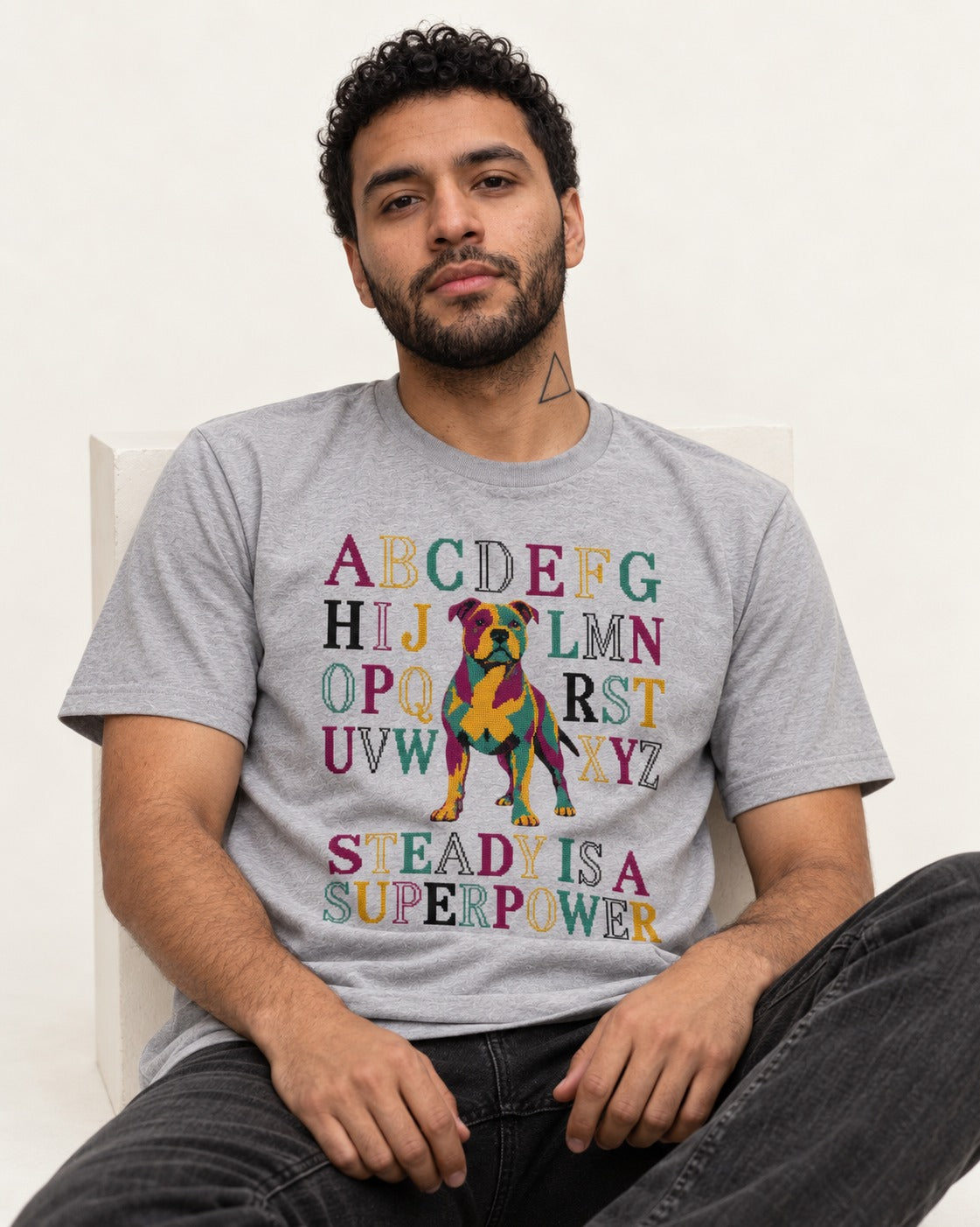 Pitbull Steady Is a Superpower Alphabet Graphic T-Shirt in Sport Grey, worn by a seated model