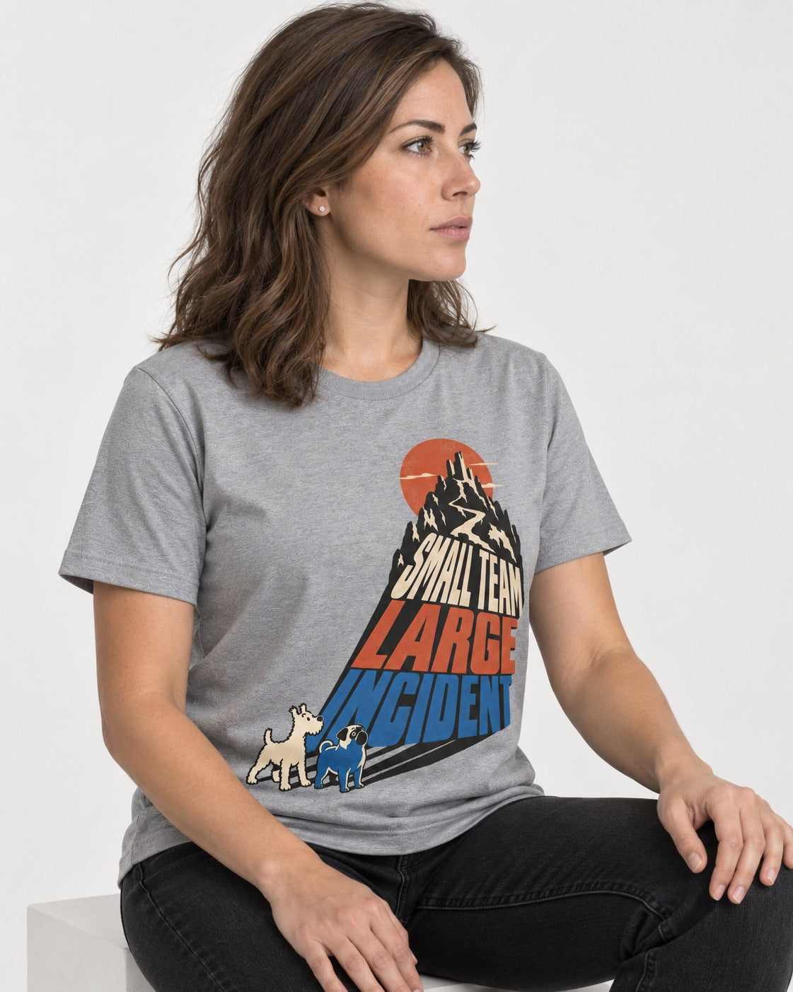 Pug Small Team Large Incident Mountain Graphic T-Shirt in Sport Grey, worn by a seated model