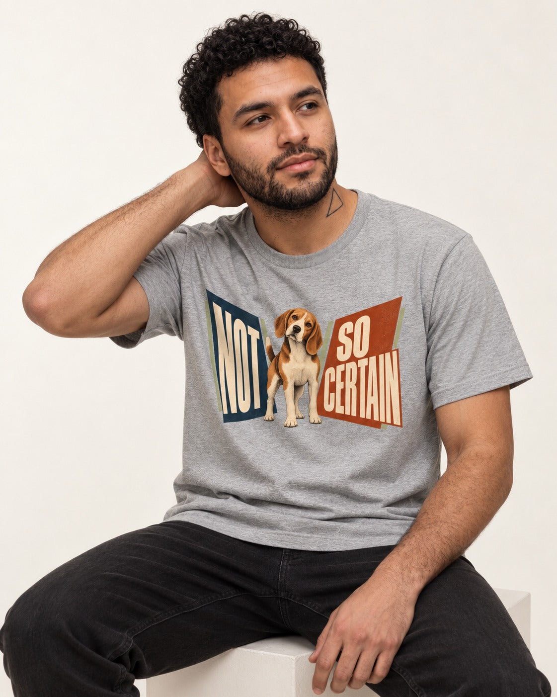 Beagle Not So Certain Retro Panel Graphic T-Shirt in Sport Grey, worn by a seated model