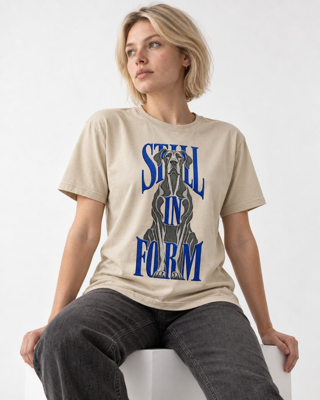 Still in Form Great Dane T-Shirt in Sand, worn by a seated model