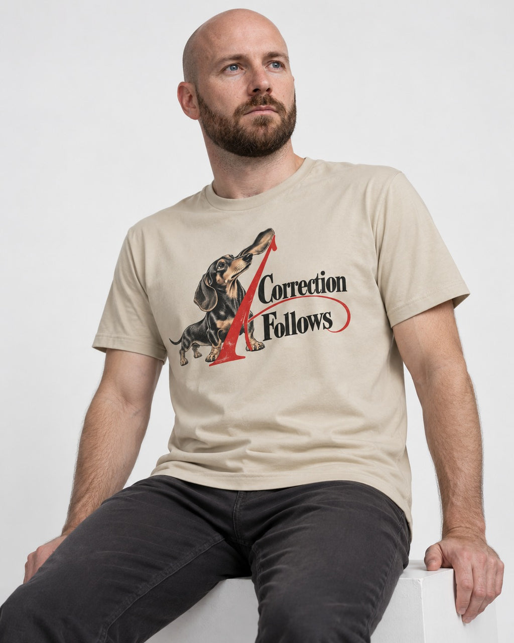 A Dachshund Correction Follows T-Shirt in Sand, worn by a seated model