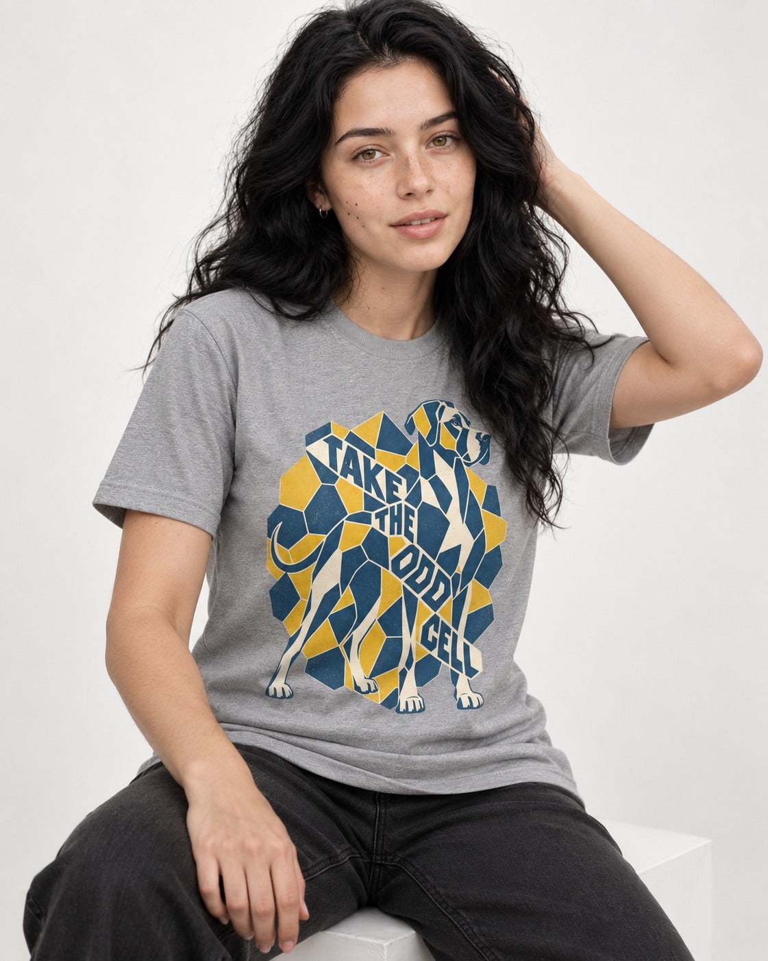 Take the Odd Cell Great Dane T-Shirt in Sport Grey, worn by a seated model