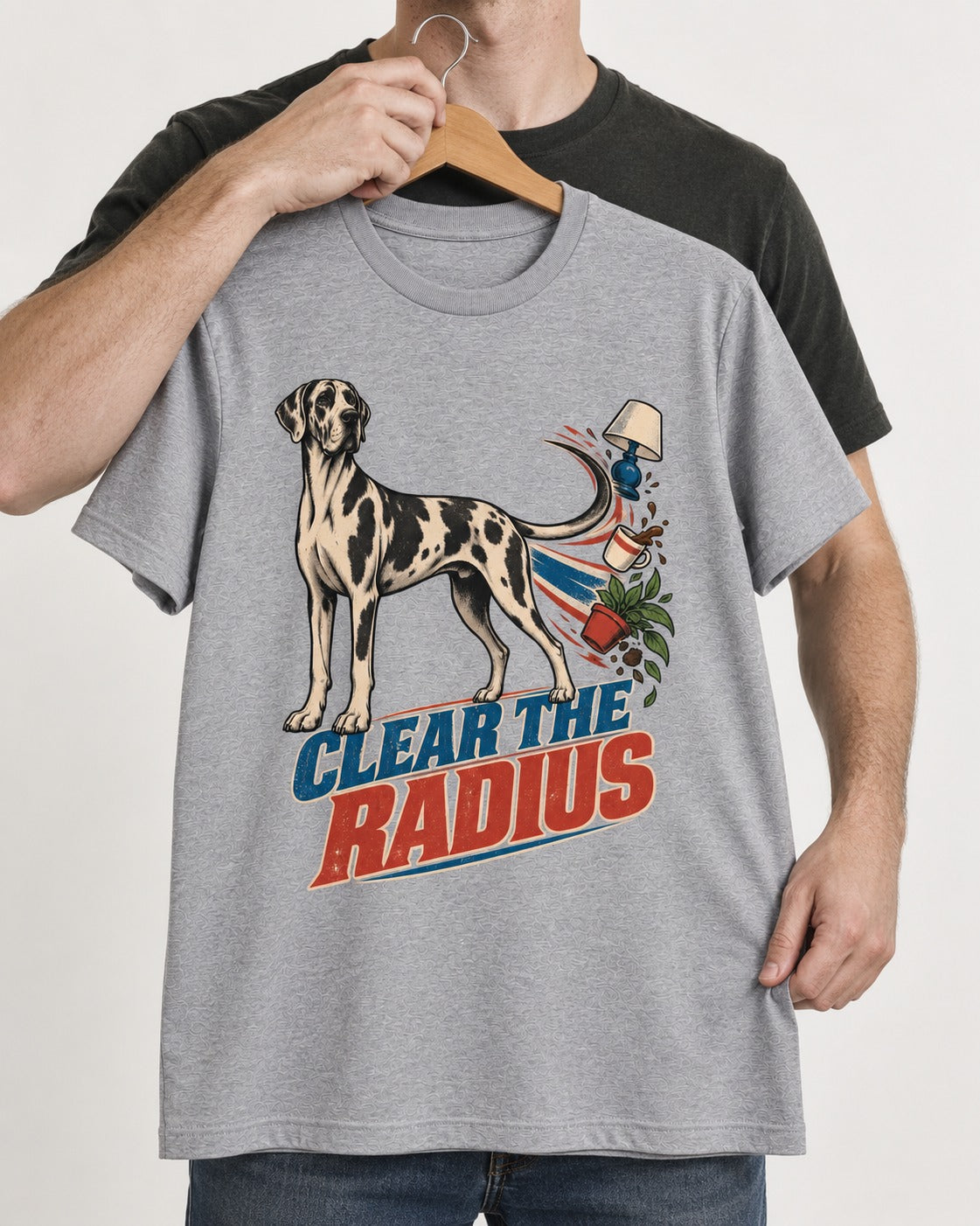 Great Dane Clear the Radius T-Shirt in Sport Grey, held up on a hanger