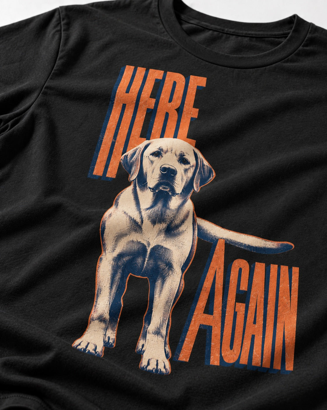Labrador Retriever Here Again Standing Typography Graphic T-Shirt in Black, close-up of the graphic