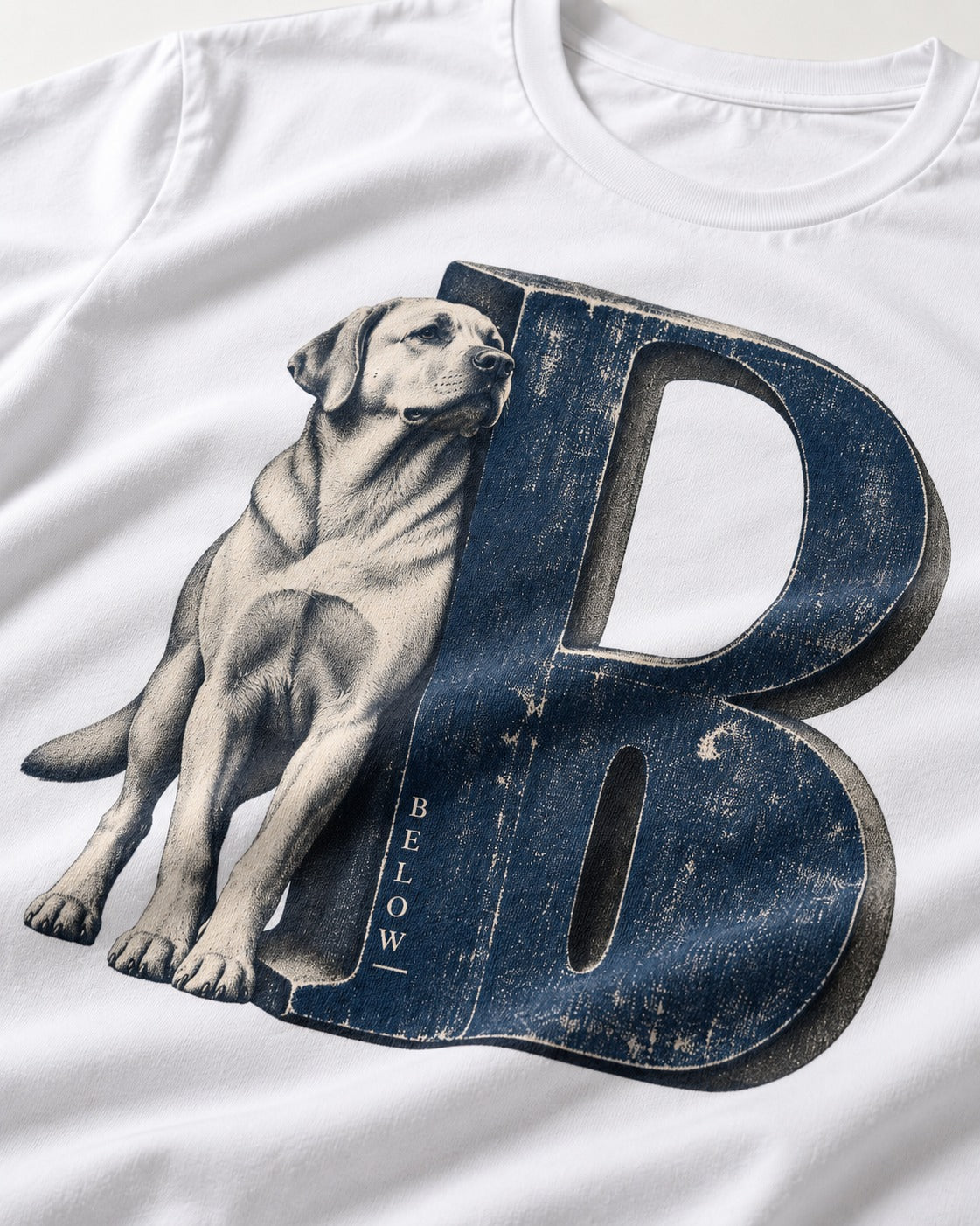 Labrador Retriever Below T-Shirt in White, close-up of the graphic