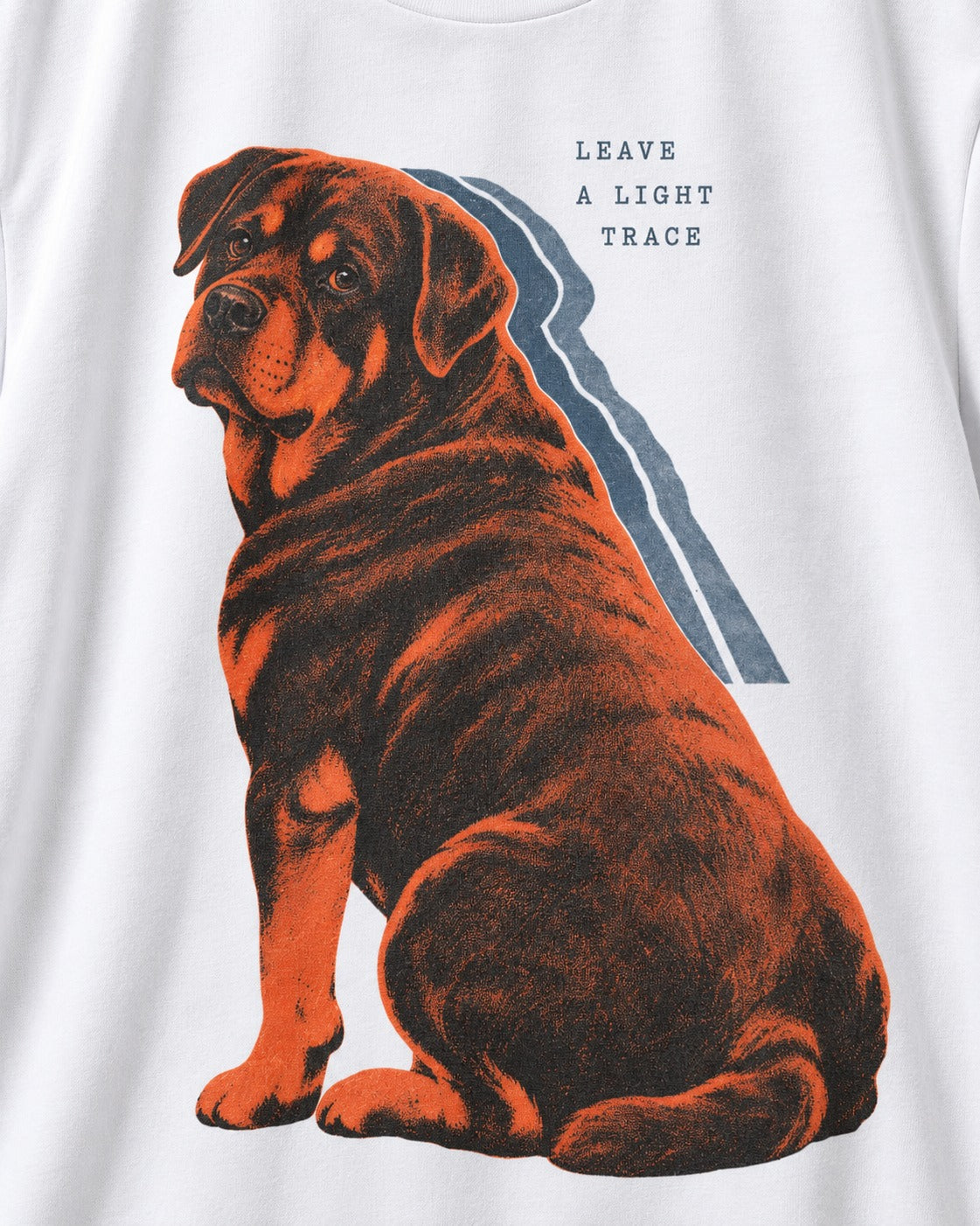 Rottweiler Leave a Light Trace T-Shirt in White, close-up of the graphic