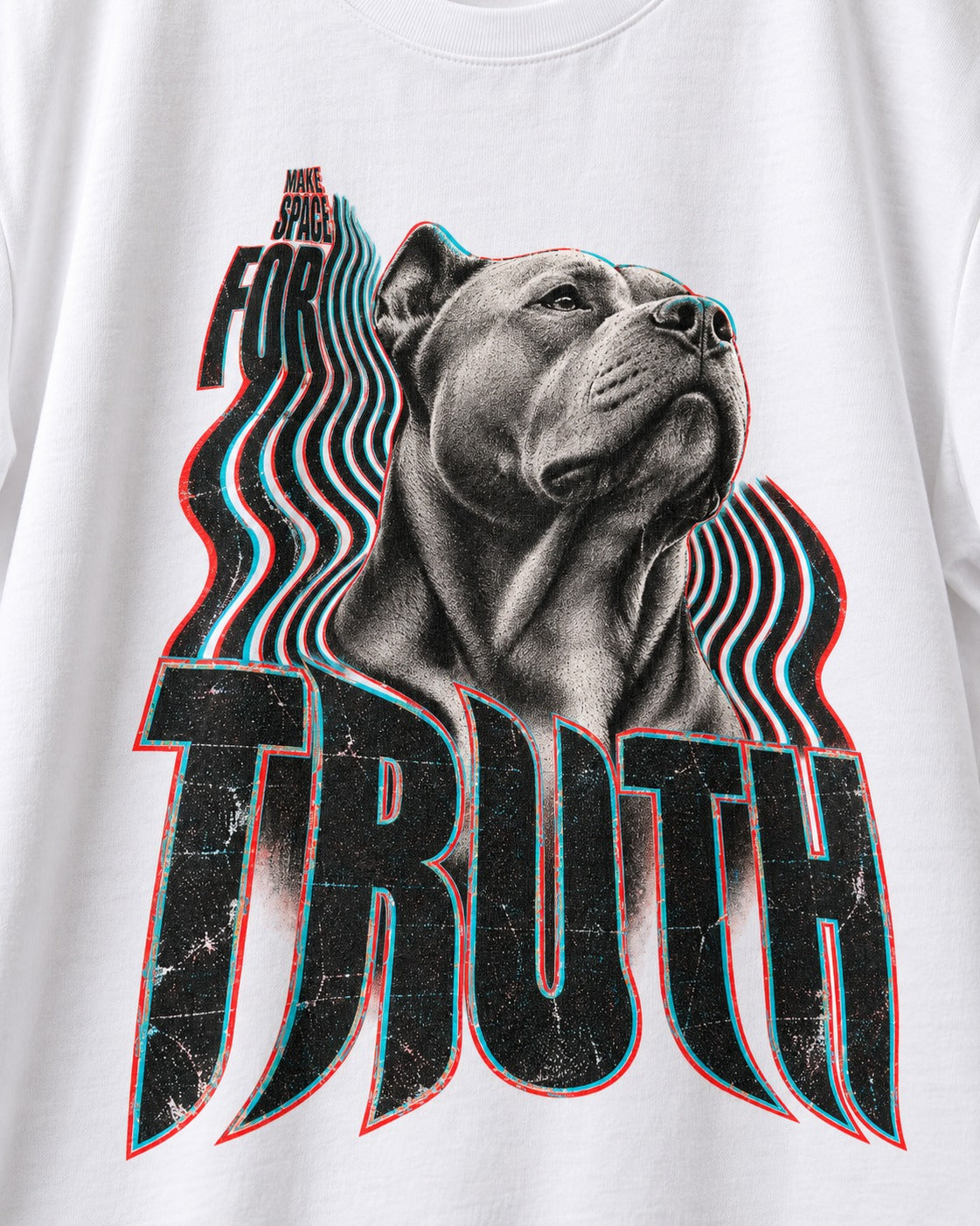 Pitbull Truth T-Shirt in White, close-up of the graphic