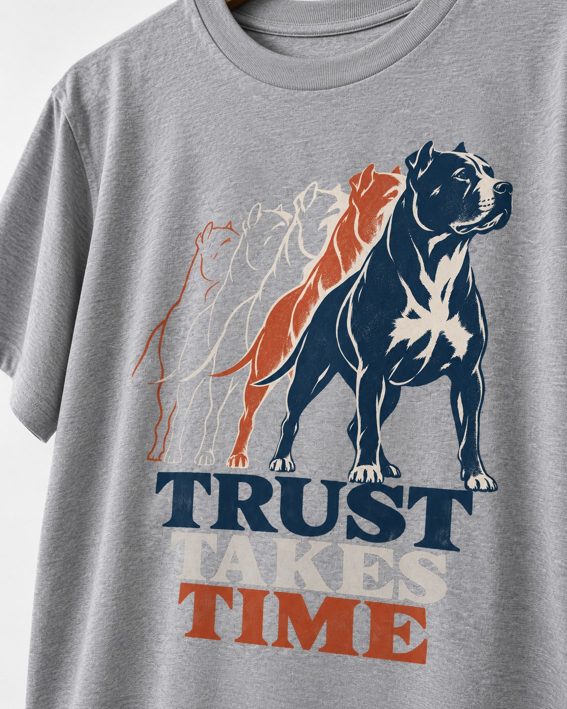 Pitbull Trust Takes Time Progression Graphic T-Shirt in Sport Grey, close-up of the graphic