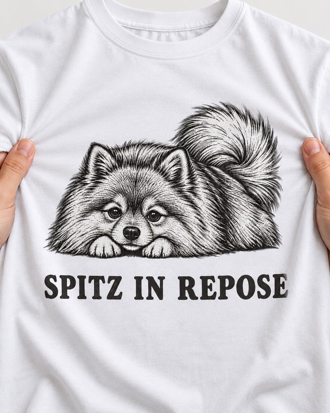 Pomeranian In Repose T-Shirt in White, close-up of the graphic