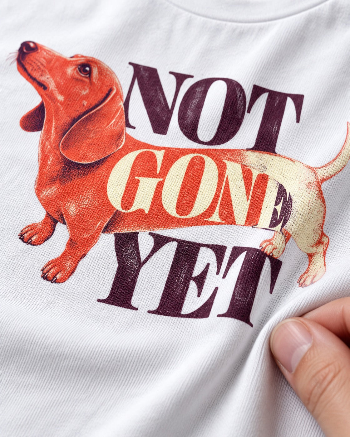 Dachshund Not Gone Yet T-Shirt in White, close-up of the graphic