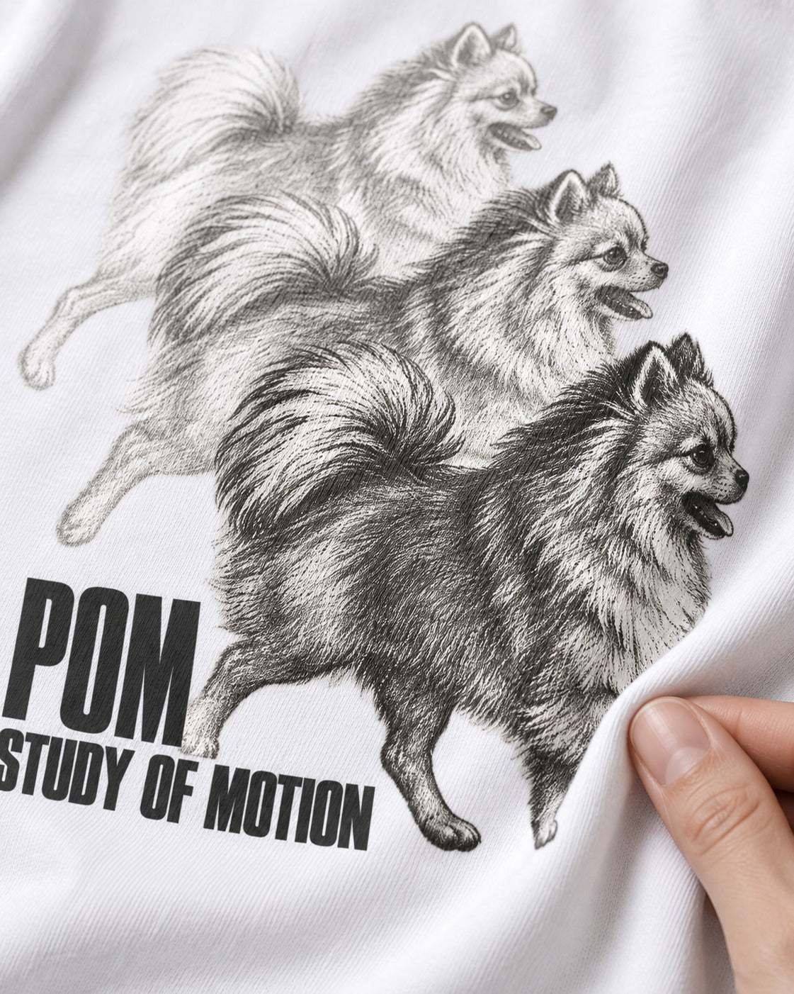 Pomeranian Study of Motion T-Shirt in White, close-up of the graphic