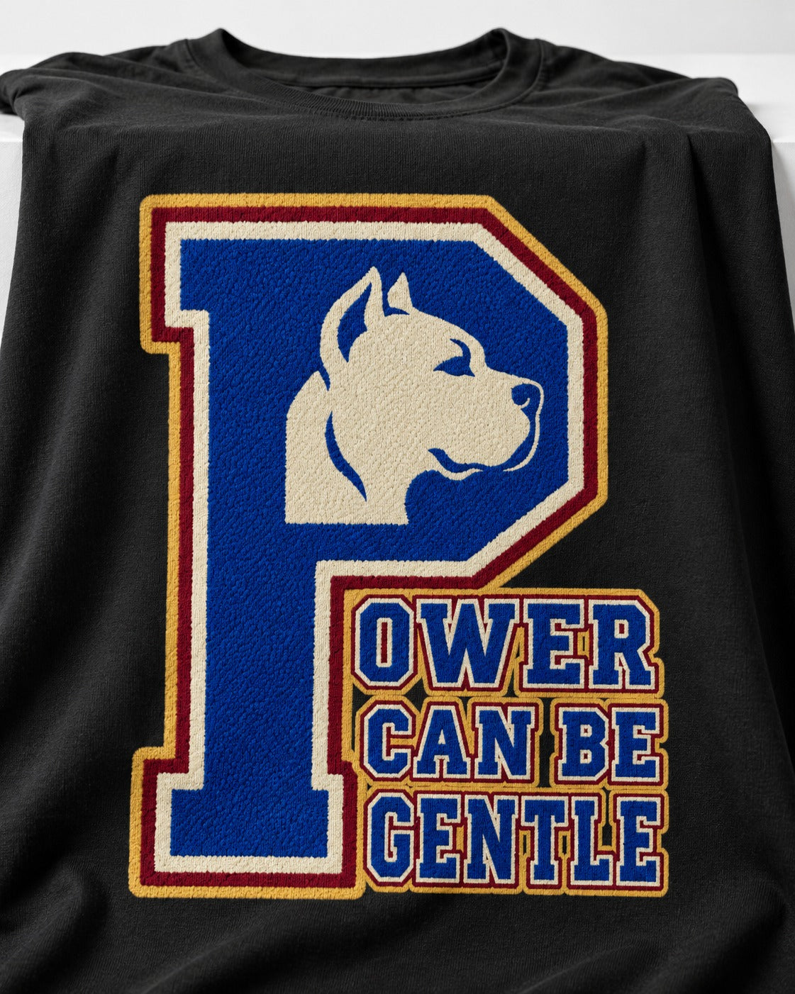 Pitbull Power Can Be Gentle Varsity Graphic T-Shirt in Black, close-up of the graphic