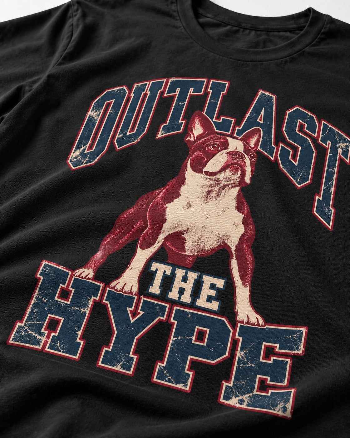 Boston Terrier Outlast The Hype Collegiate Graphic T-Shirt in Black, close-up of the graphic