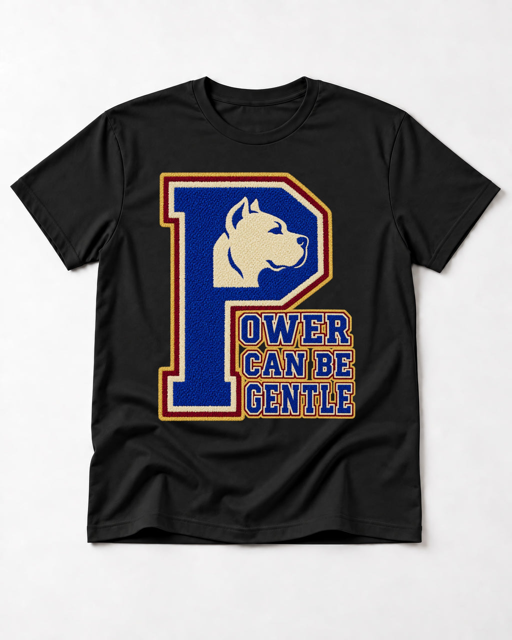 Pitbull Power Can Be Gentle Varsity Graphic T-Shirt in Black, flat lay product photo