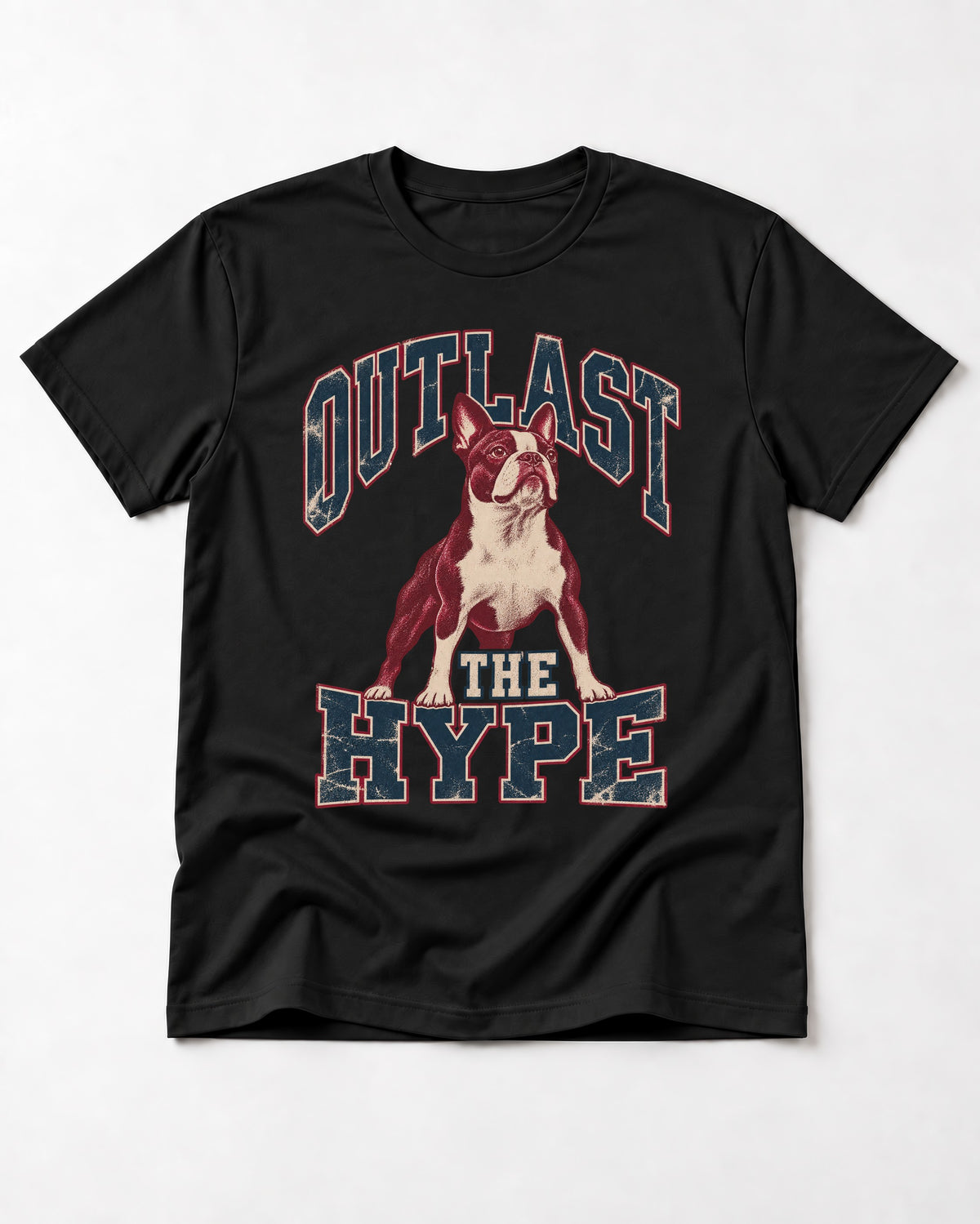 Boston Terrier Outlast The Hype Collegiate Graphic T-Shirt in Black, flat lay product photo