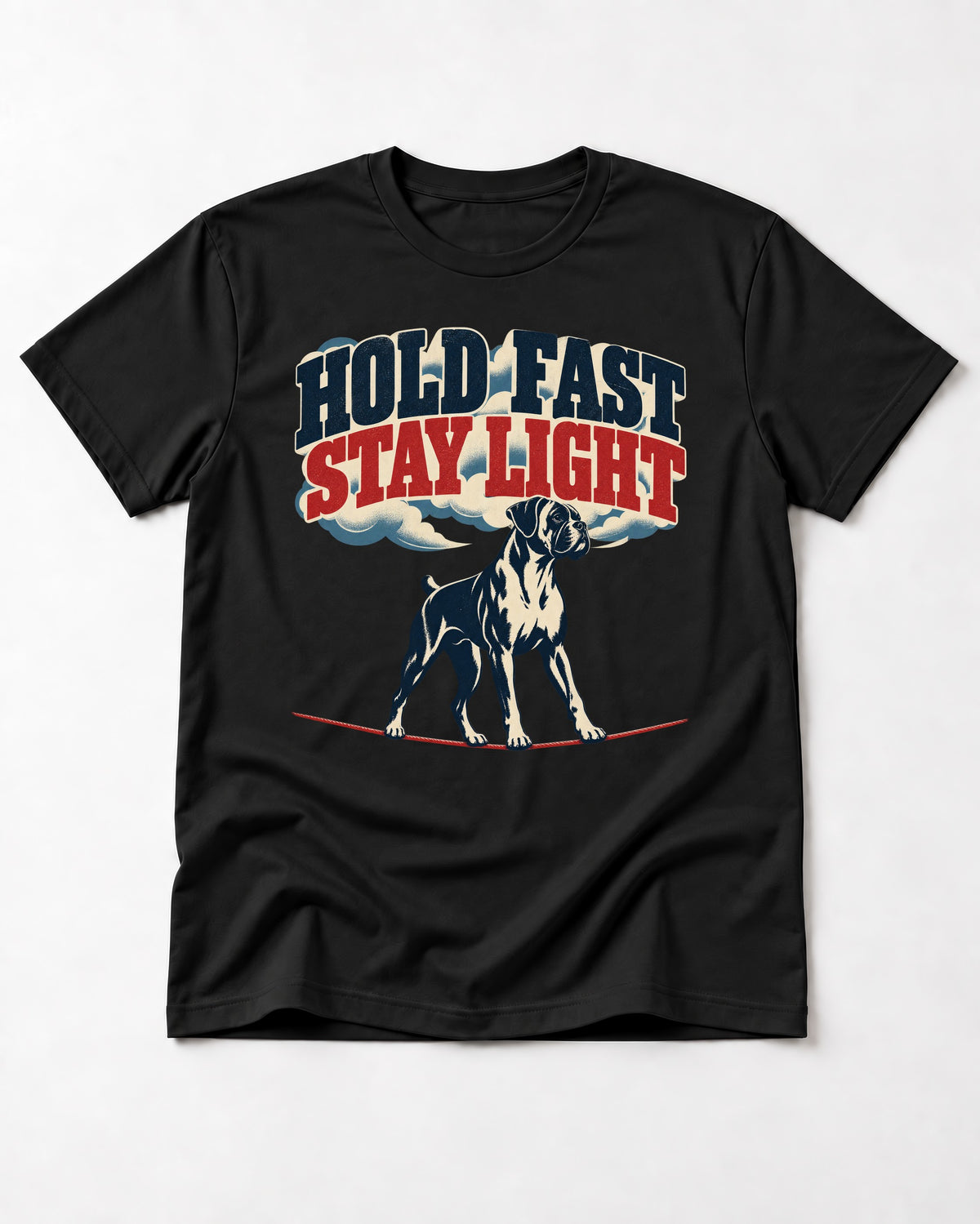 Hold Fast Stay Light Boxer Cloud Graphic T-Shirt in Black, flat lay product photo