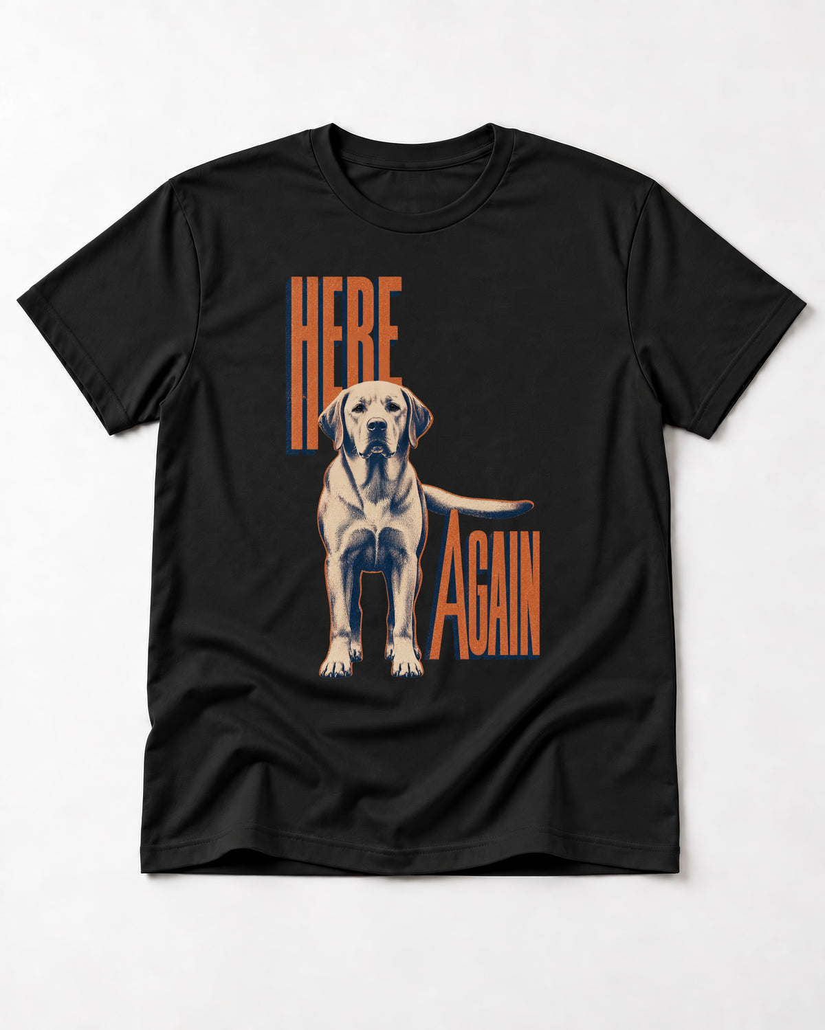 Labrador Retriever Here Again Standing Typography Graphic T-Shirt in Black, flat lay product photo