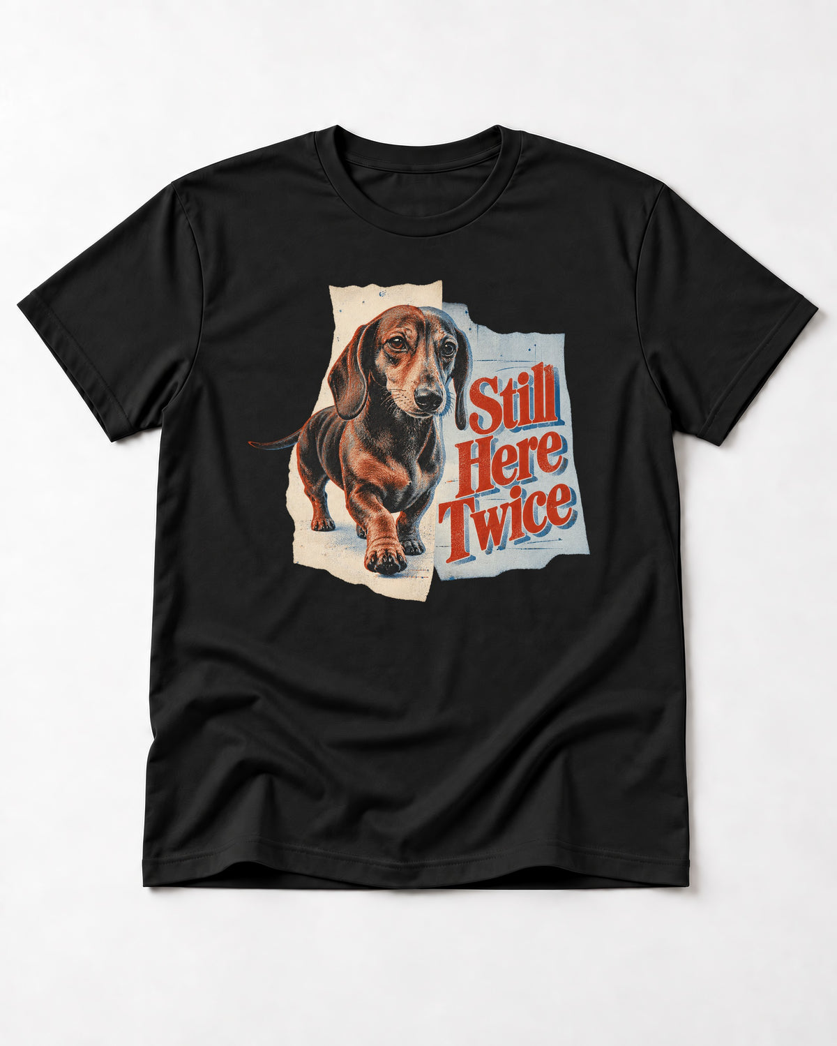 Dachshund Still Here Twice Torn Paper Graphic T-Shirt in Black, flat lay product photo