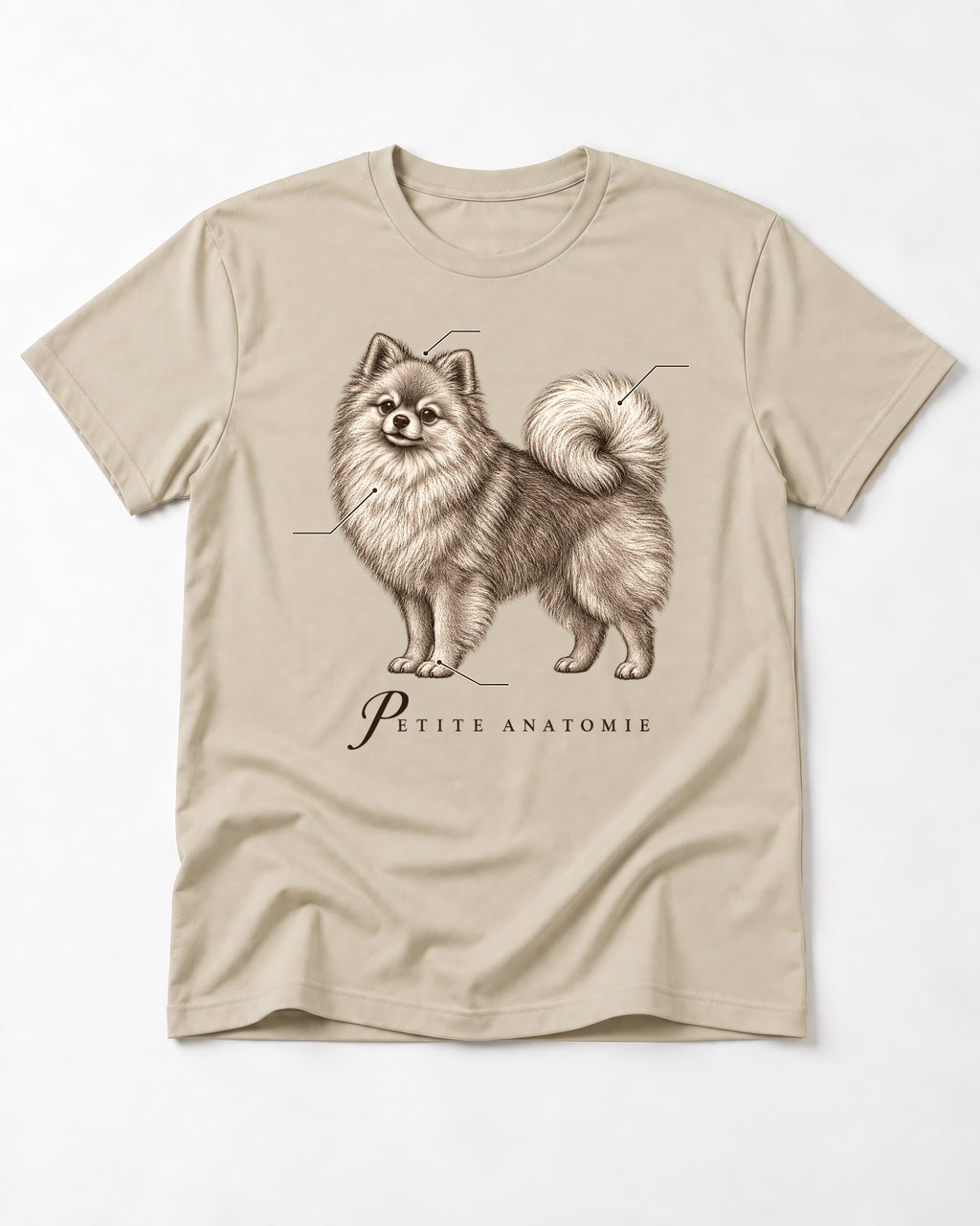 Pomeranian Petite Anatomie T-Shirt in Sand, flat lay product photo
