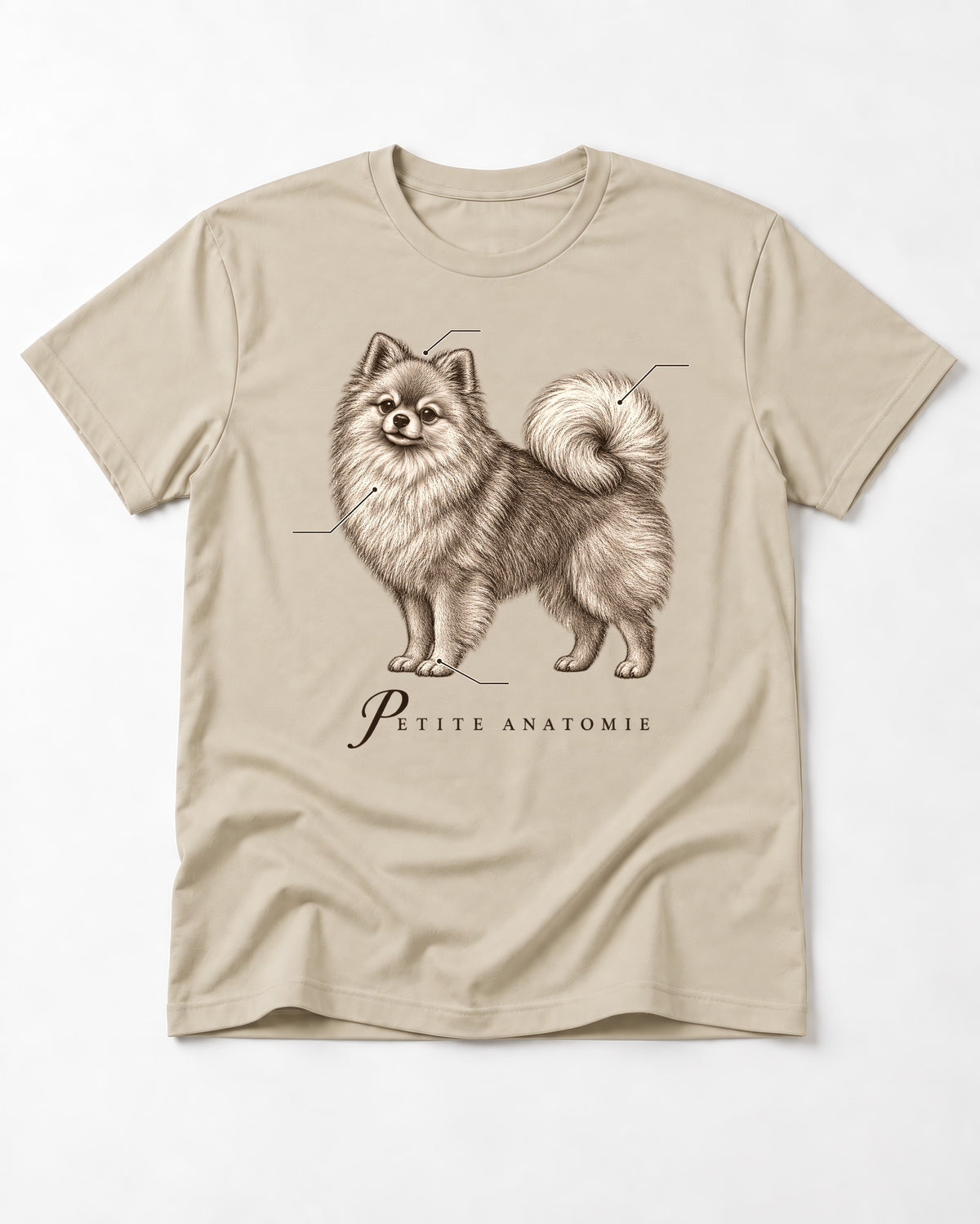 Pomeranian Petite Anatomie T-Shirt in Sand, flat lay product photo