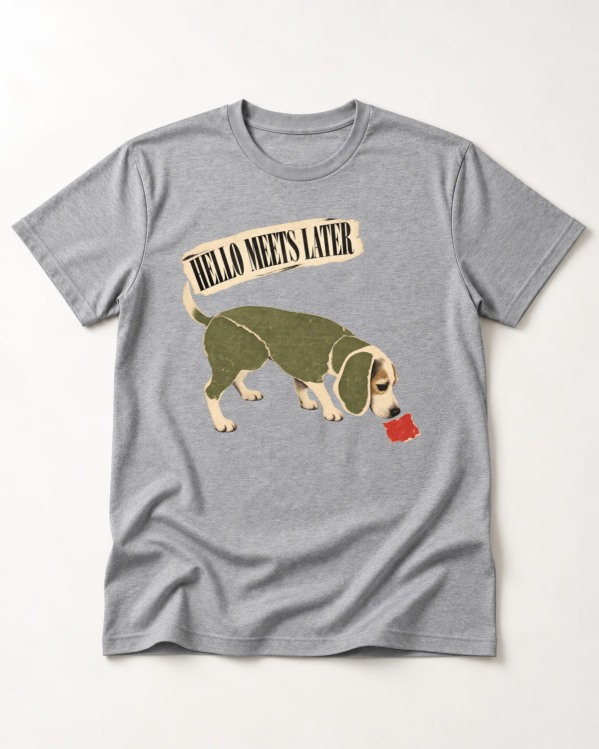 Twenty Minutes Later Beagle T-Shirt in Sport Grey, flat lay product photo