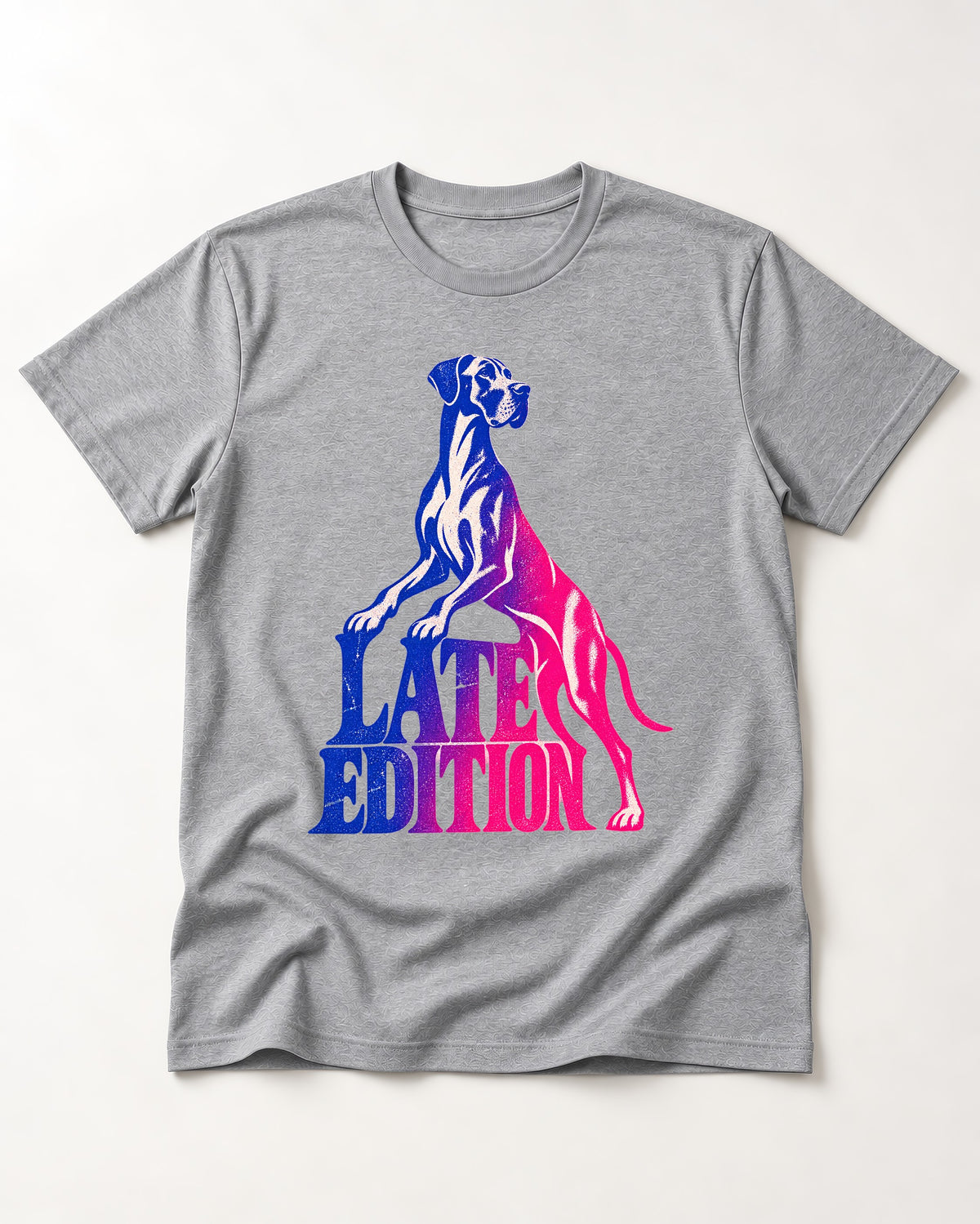 Great Dane Latest Edition Gradient Graphic T-Shirt in Sport Grey, flat lay product photo