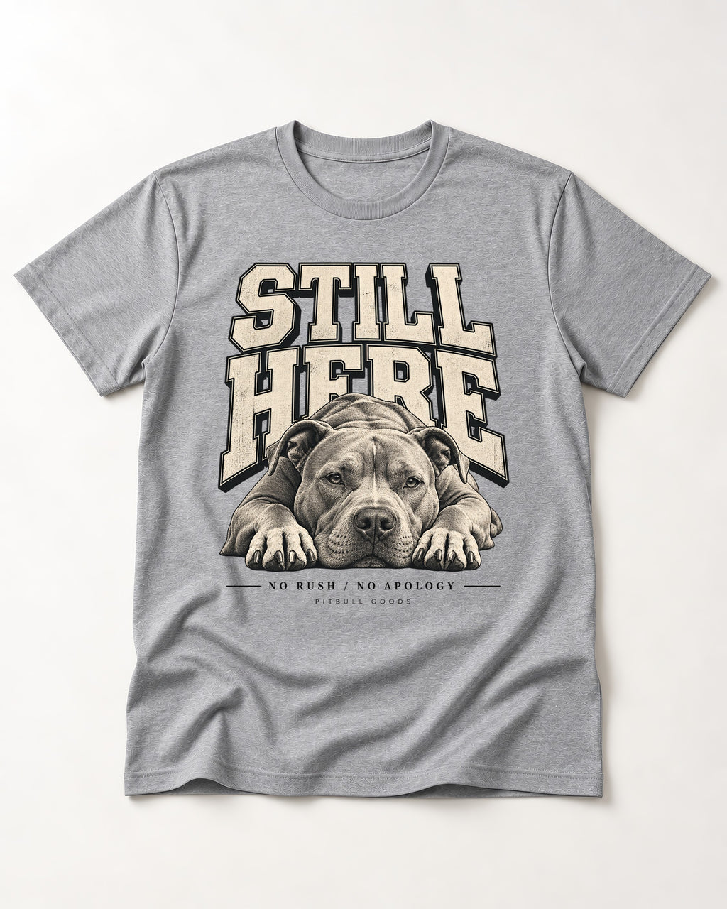 Still Here Pitbull T-Shirt in Sport Grey, flat lay product photo