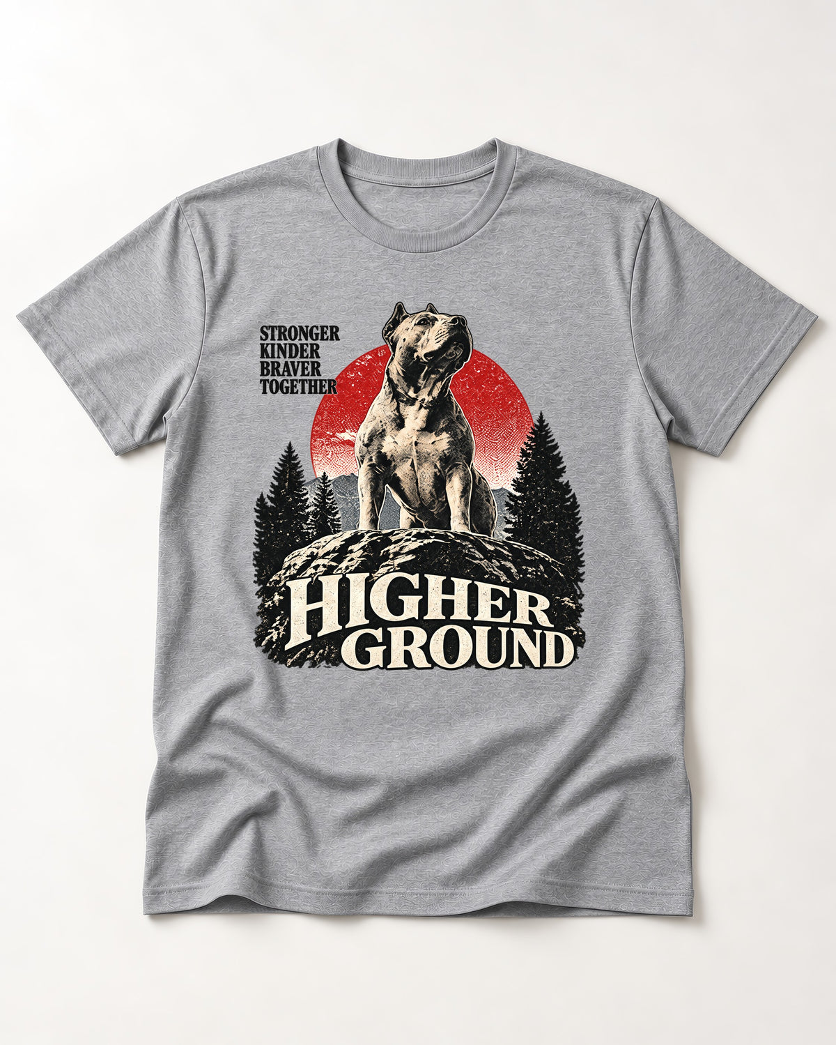 Pitbull Higher Ground T-Shirt in Sport Grey, flat lay product photo