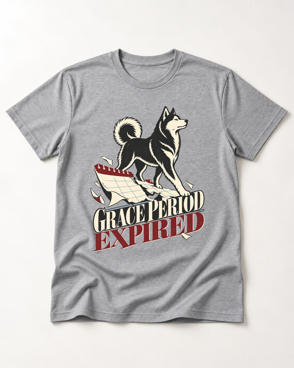 Husky Grace Period Expired Torn Calendar Graphic T-Shirt in Sport Grey, flat lay product photo